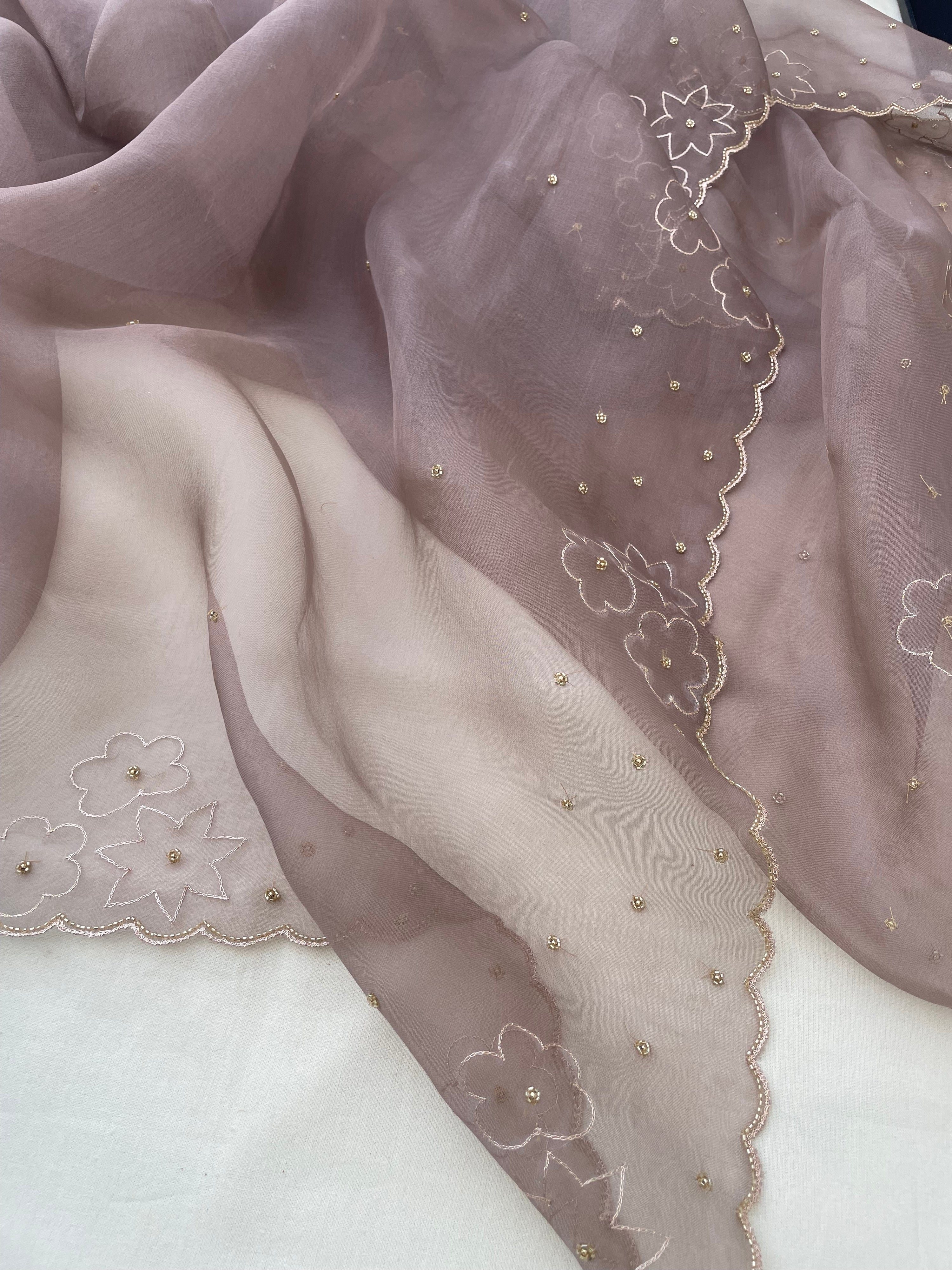Beige Pure Organza Silk Embroidered Banarasi Dupatta