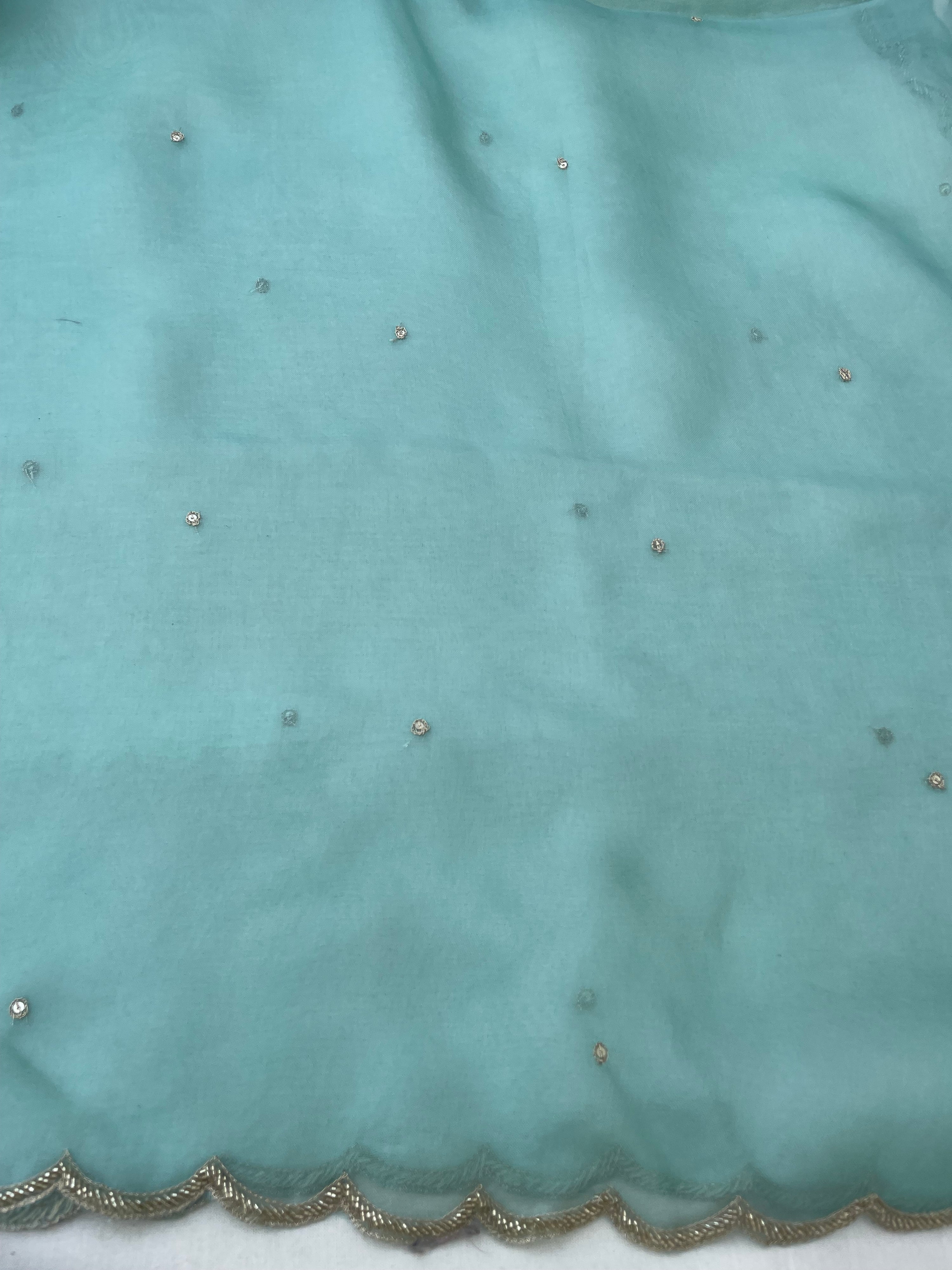 Sea Green Pure Organza Silk Embroidered Banarasi Dupatta