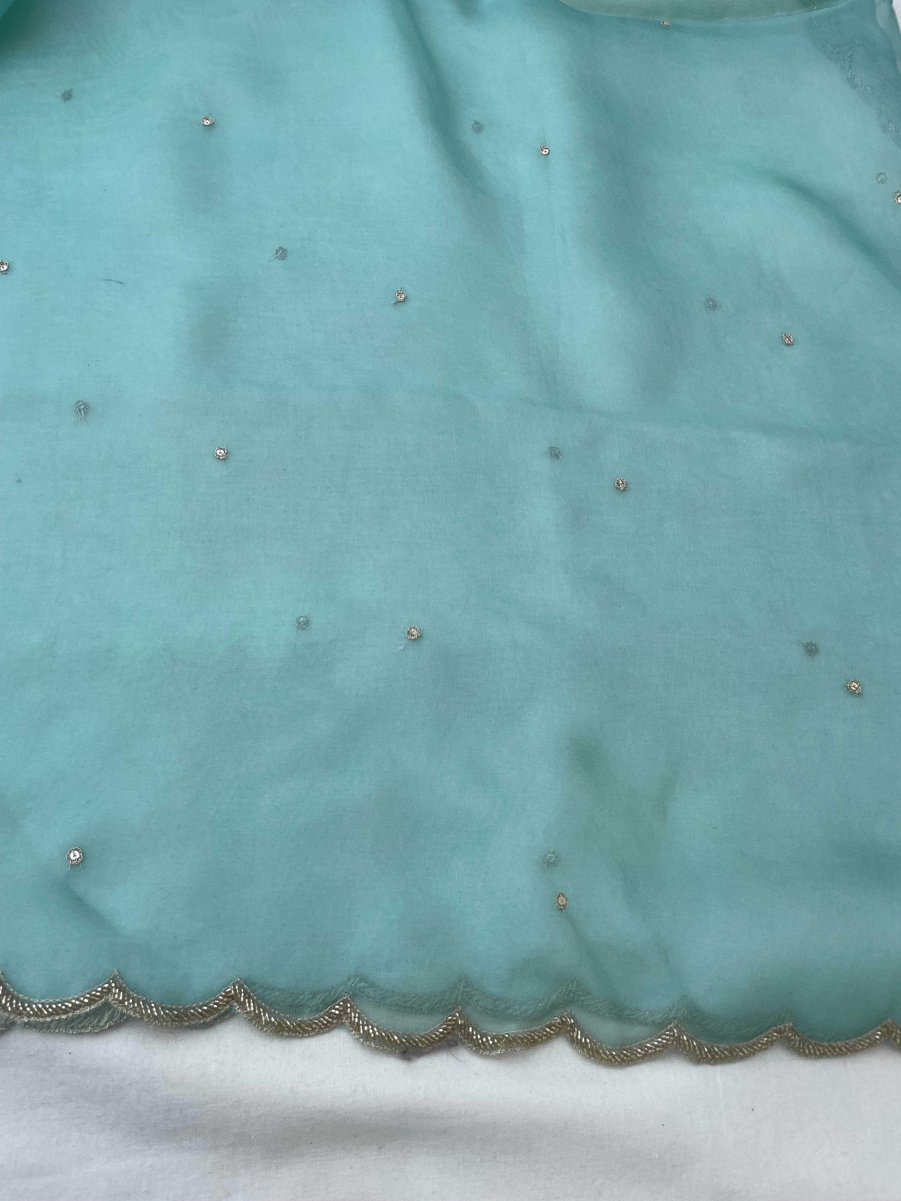 Sea Green Pure Organza Silk Embroidered Banarasi Dupatta