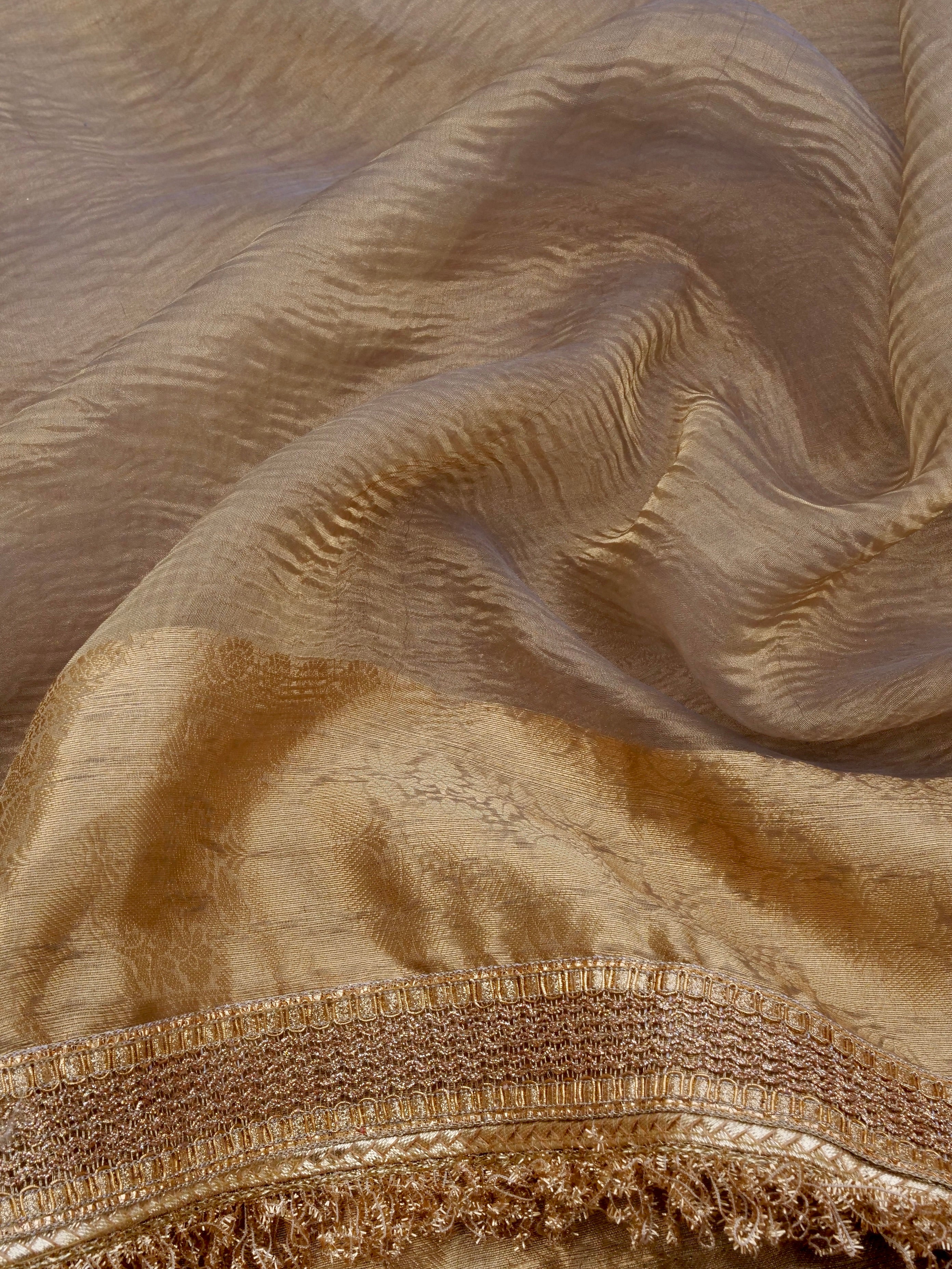 Grey Gold Pure Crush Tissue Silk Banarasi Saree with Embellished Border