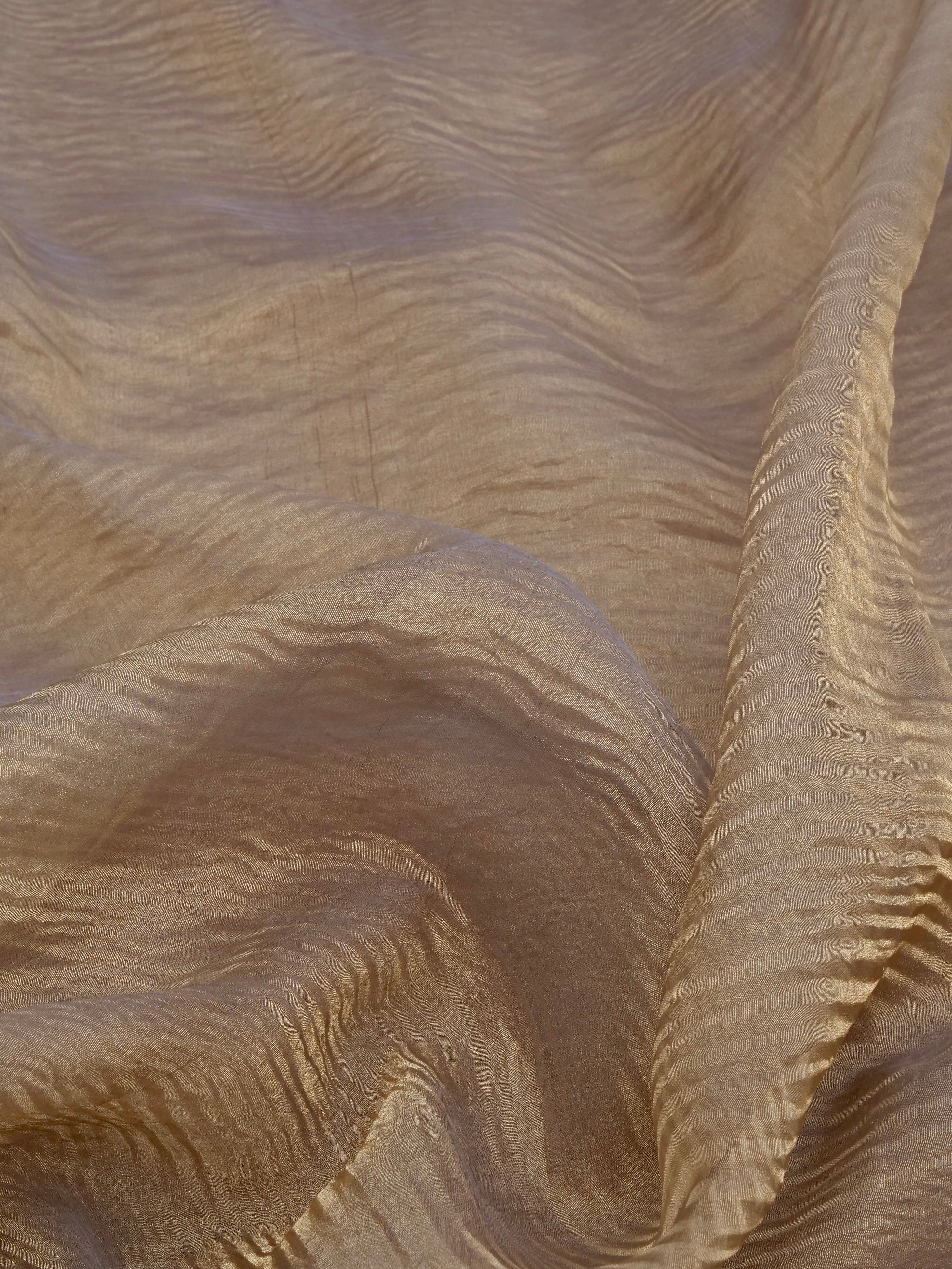 Grey Gold Pure Crush Tissue Silk Banarasi Saree with Embellished Border