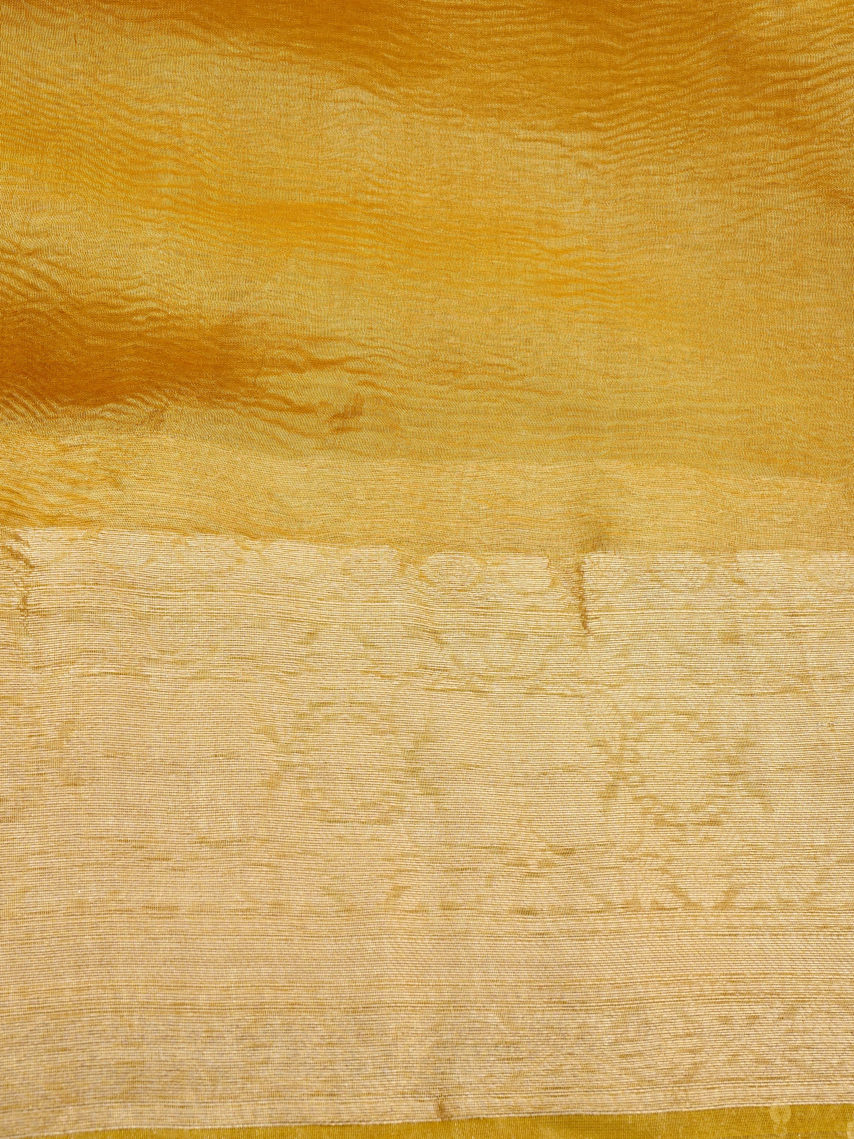 Red Pure Crush Tissue Silk Banarasi Saree with Embellished Border