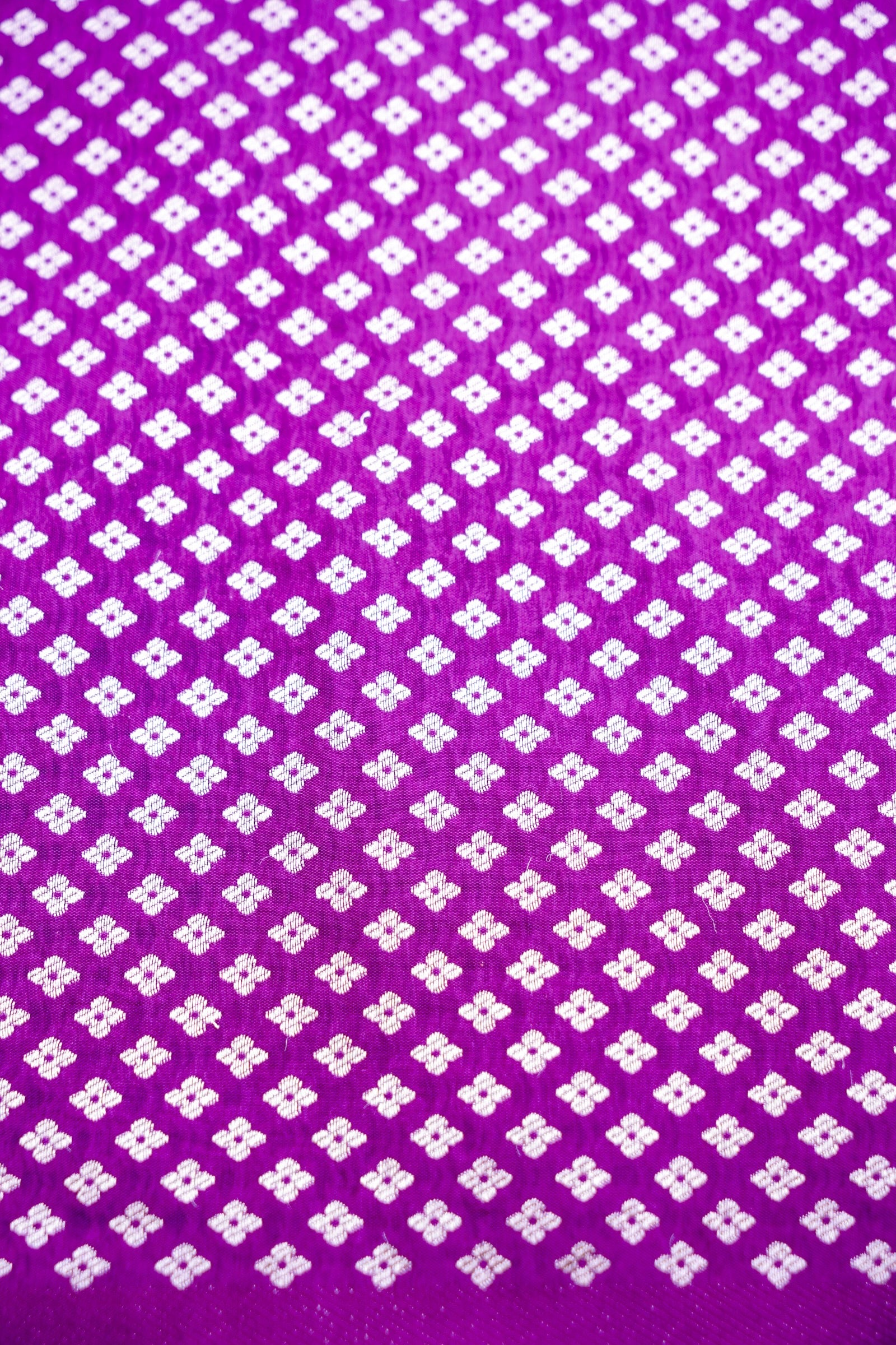 Purple Tanchoi Allover Butis Semi Silk Banarasi Saree