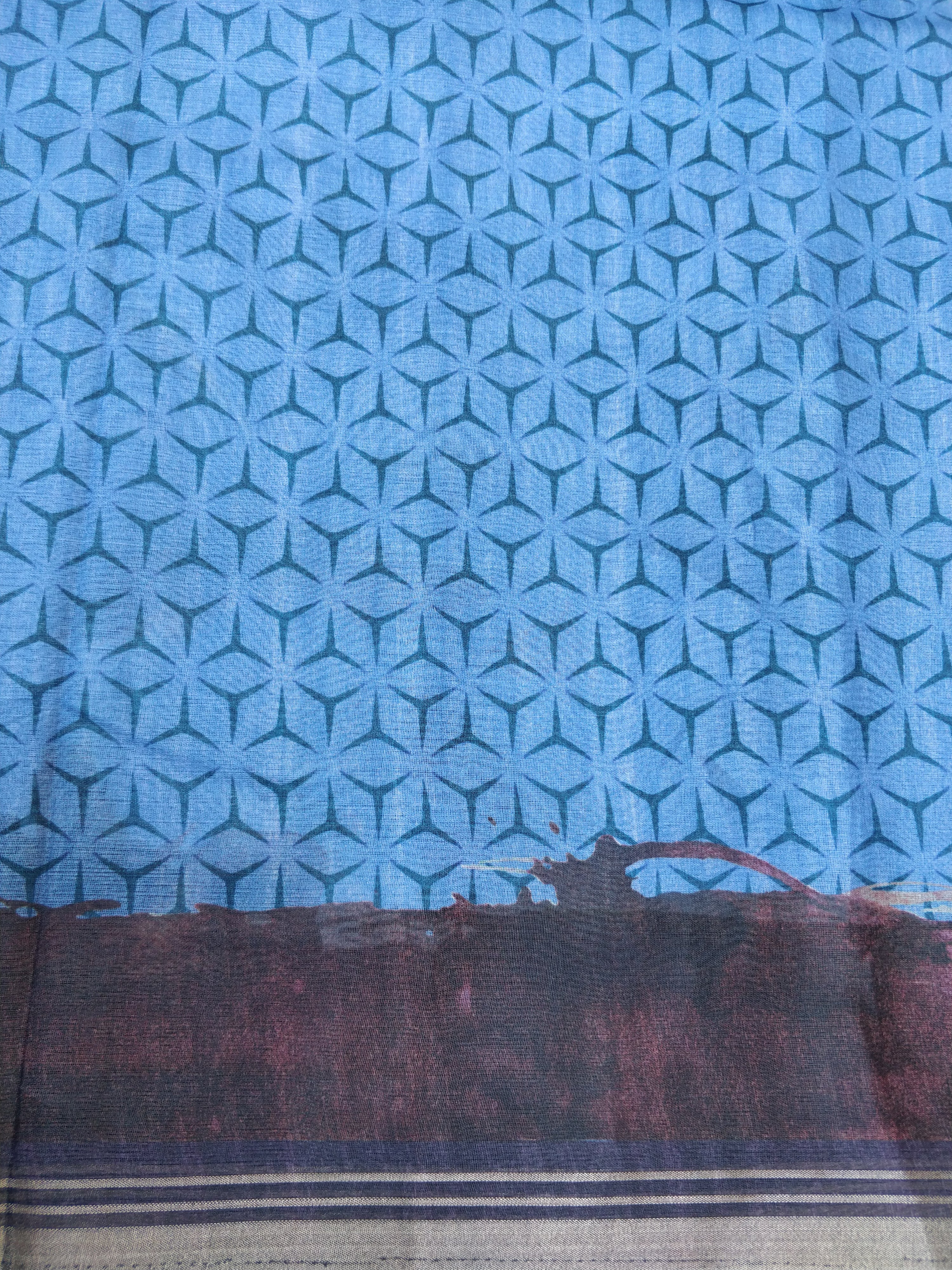 Sky Blue Organza Silk Butterfly Print Banarasi Saree