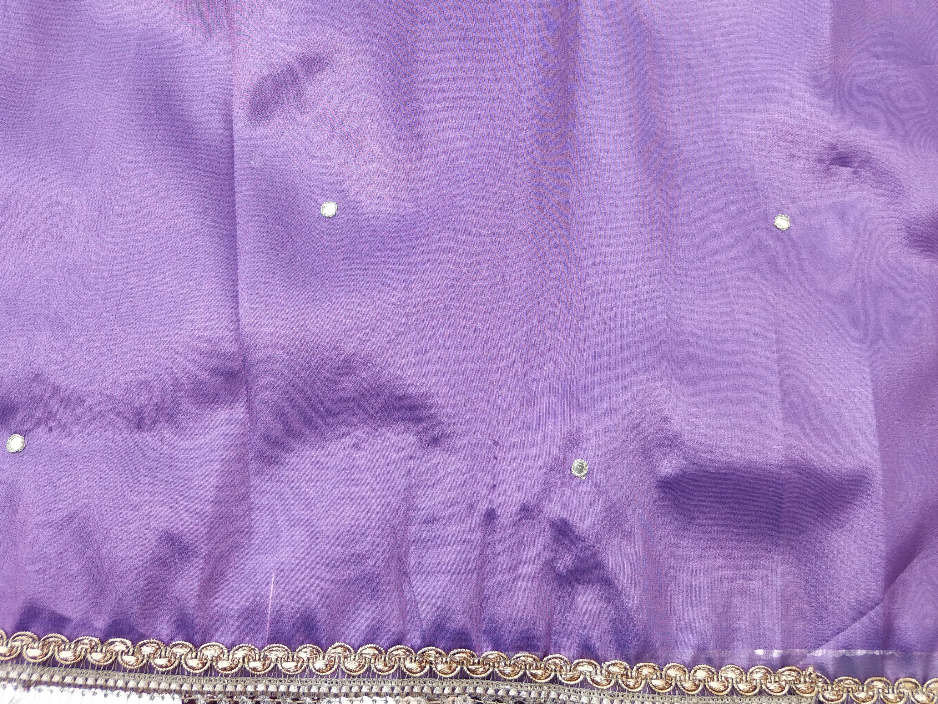 Purple Tissue Silk Saree with Embellished Border