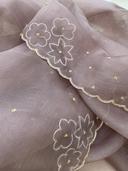 Beige Pure Organza Silk Embroidered Banarasi Dupatta