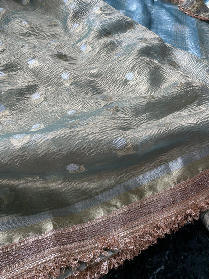 Light Green Crush Tissue Banarasi Saree with Embellished Border