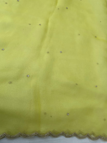 Lemon Yellow Pure Organza Silk Embroidered Banarasi Dupatta