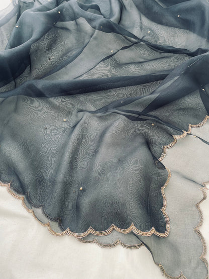 Black Pure Organza Silk Embroidered Banarasi Dupatta