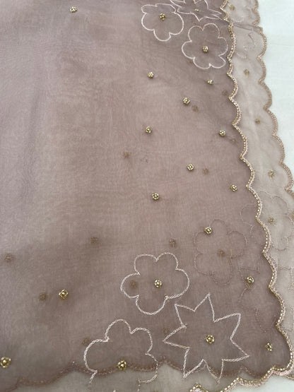 Beige Pure Organza Silk Embroidered Banarasi Dupatta