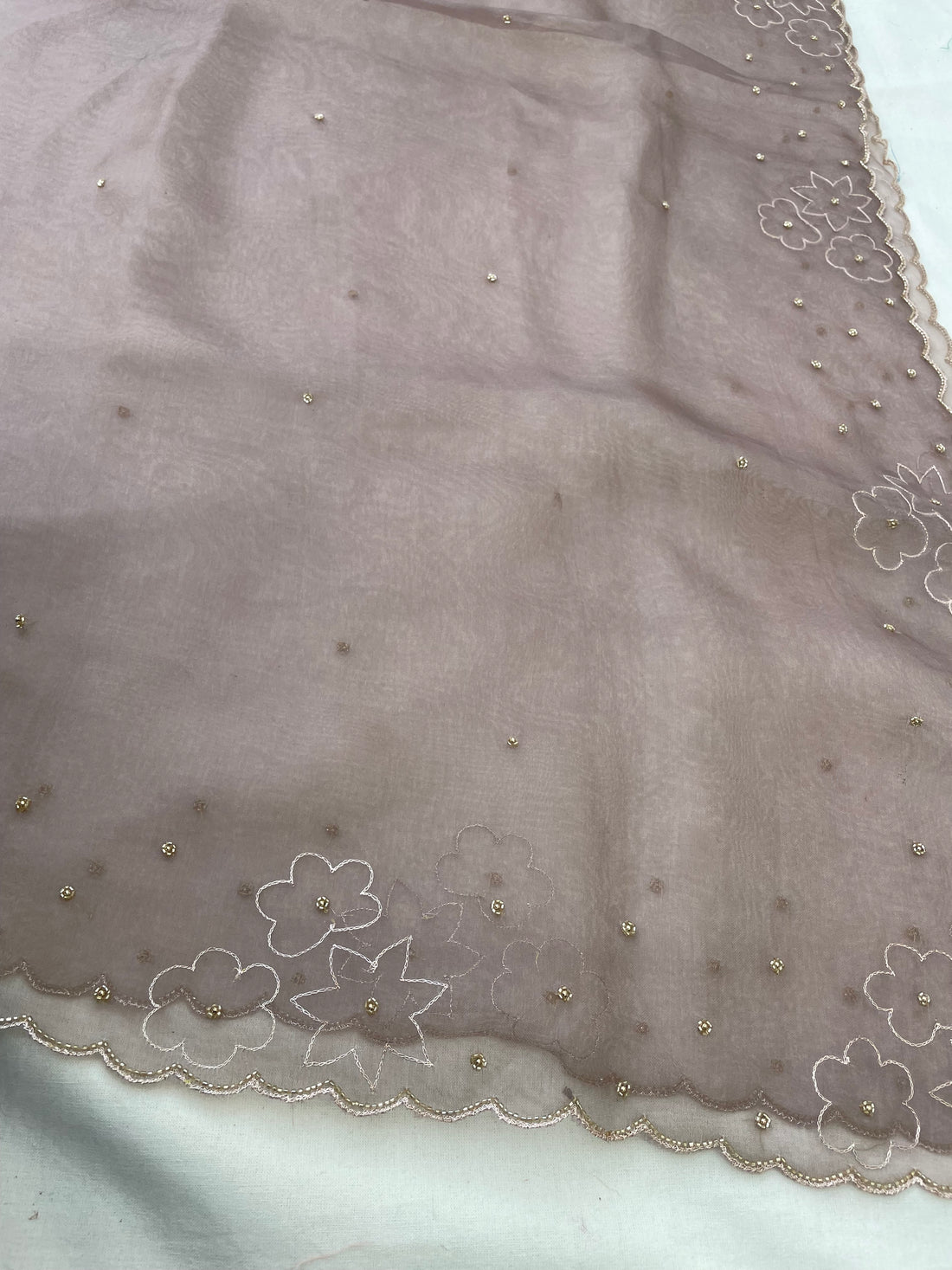 Beige Pure Organza Silk Embroidered Banarasi Dupatta