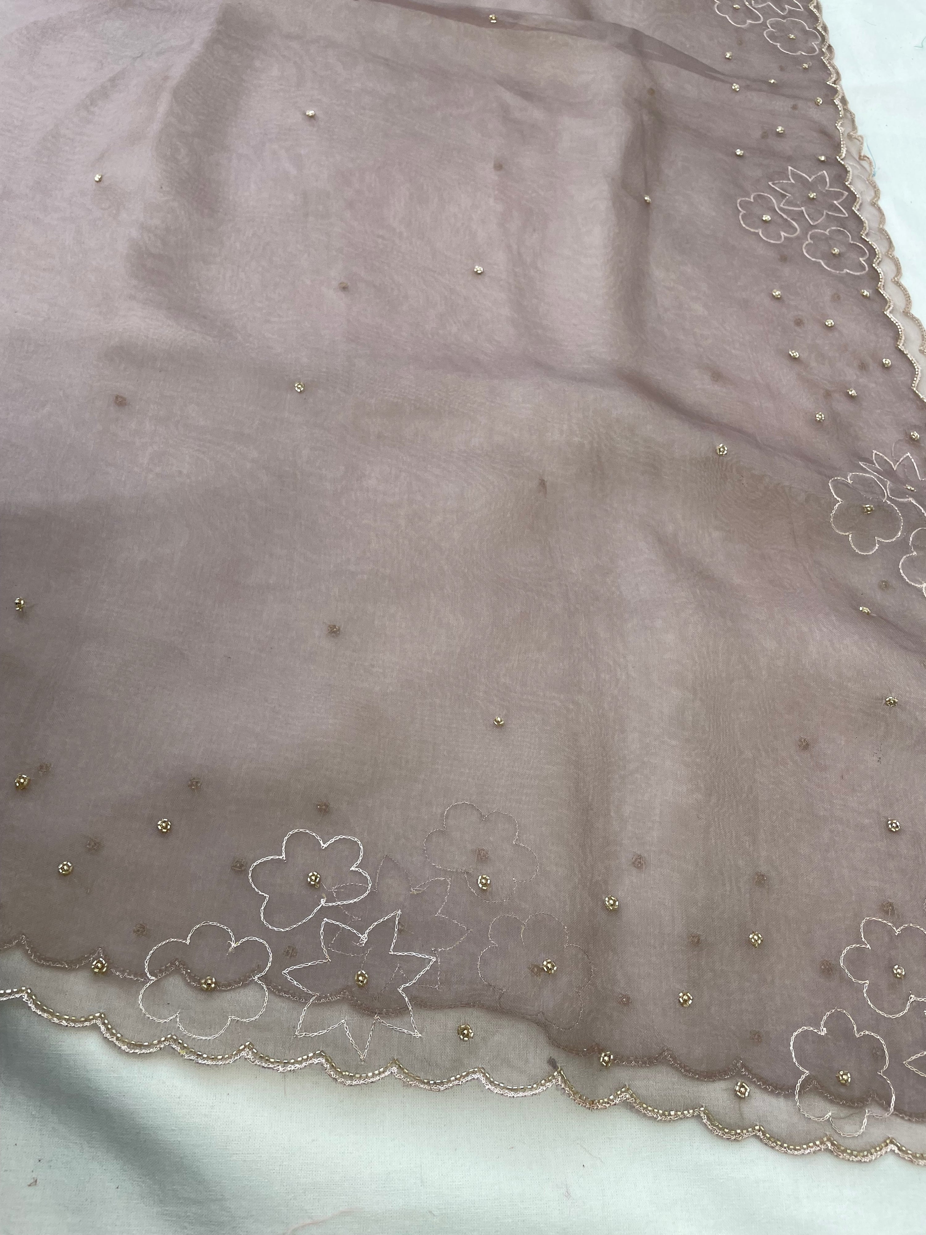 Beige Pure Organza Silk Embroidered Banarasi Dupatta
