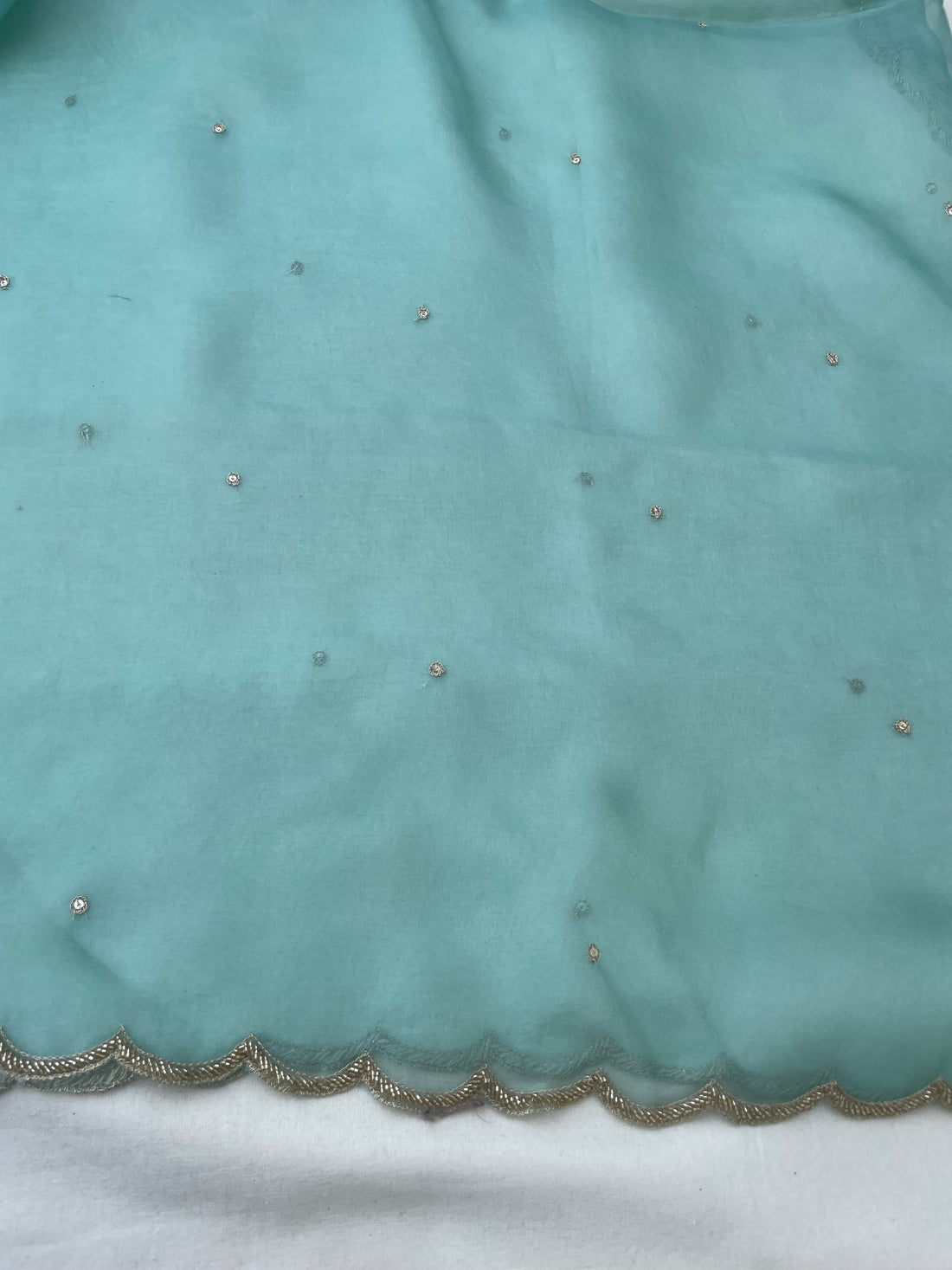 Sea Green Pure Organza Silk Embroidered Banarasi Dupatta