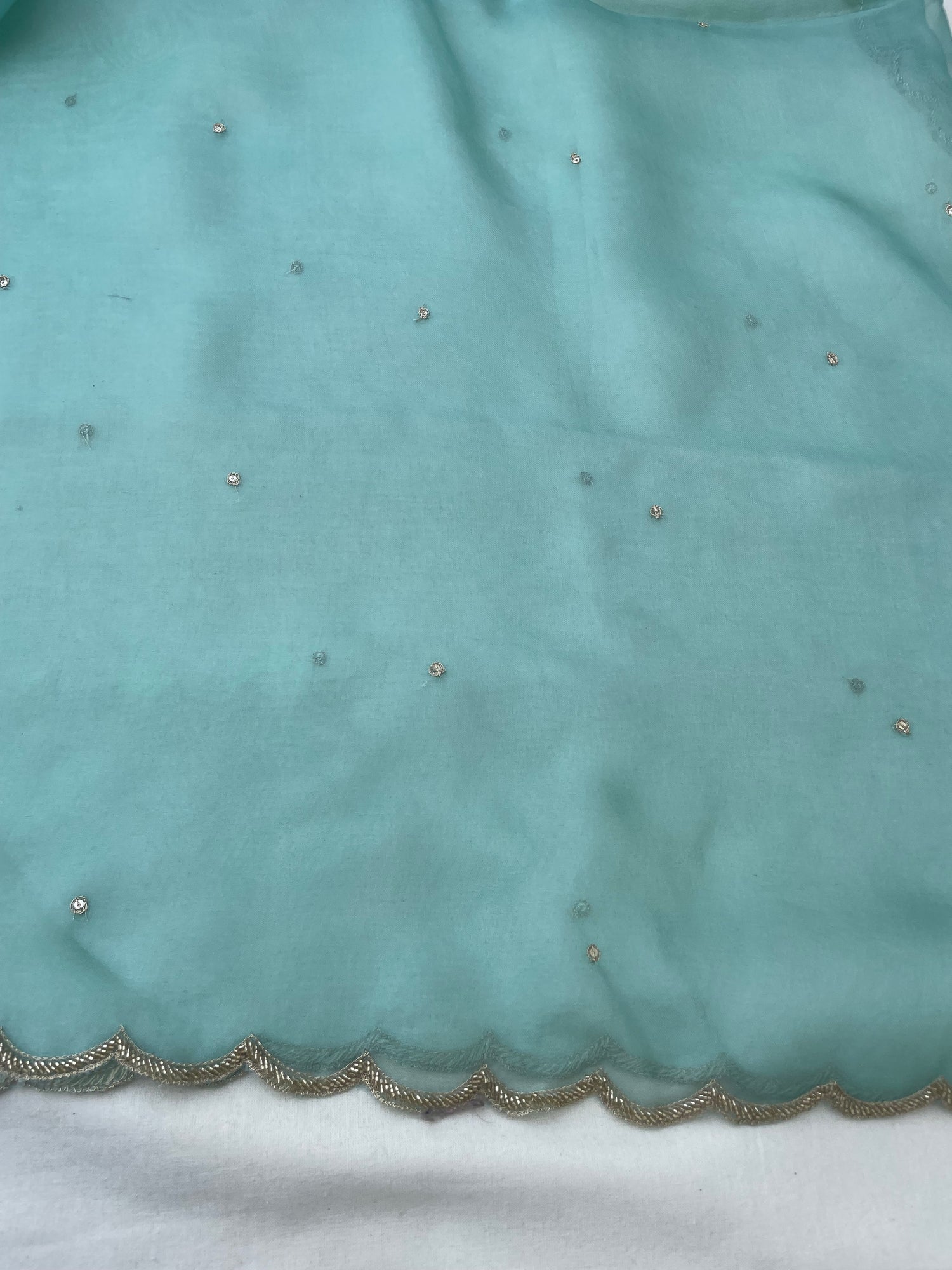 Sea Green Pure Organza Silk Embroidered Banarasi Dupatta
