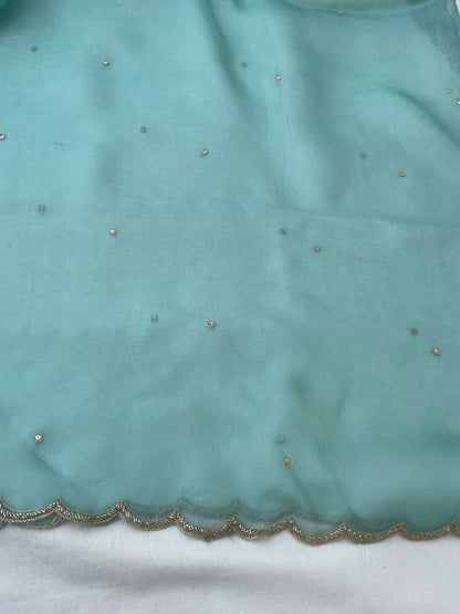 Sea Green Pure Organza Silk Embroidered Banarasi Dupatta