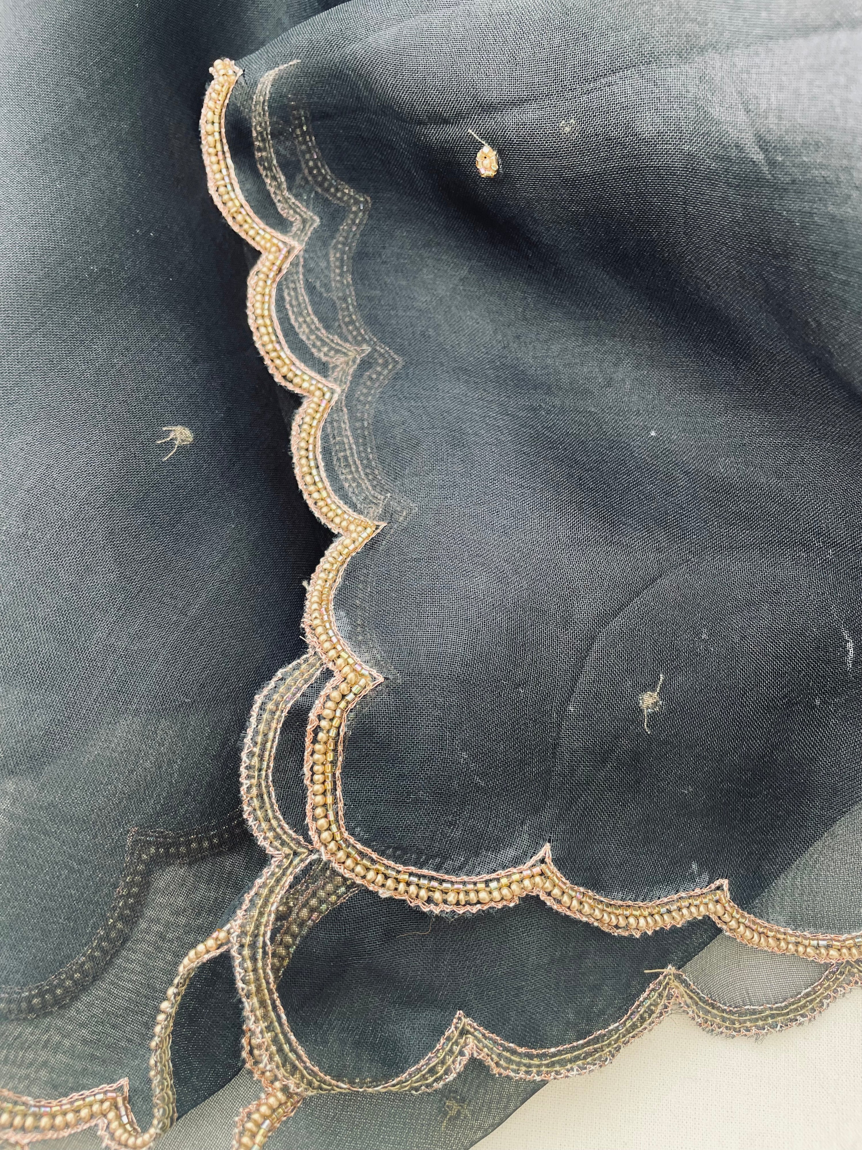 Black Pure Organza Silk Embroidered Banarasi Dupatta