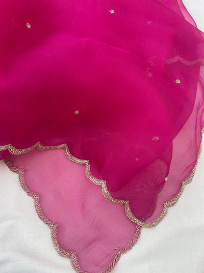Pink Pure Organza Silk Embroidered Banarasi Dupatta