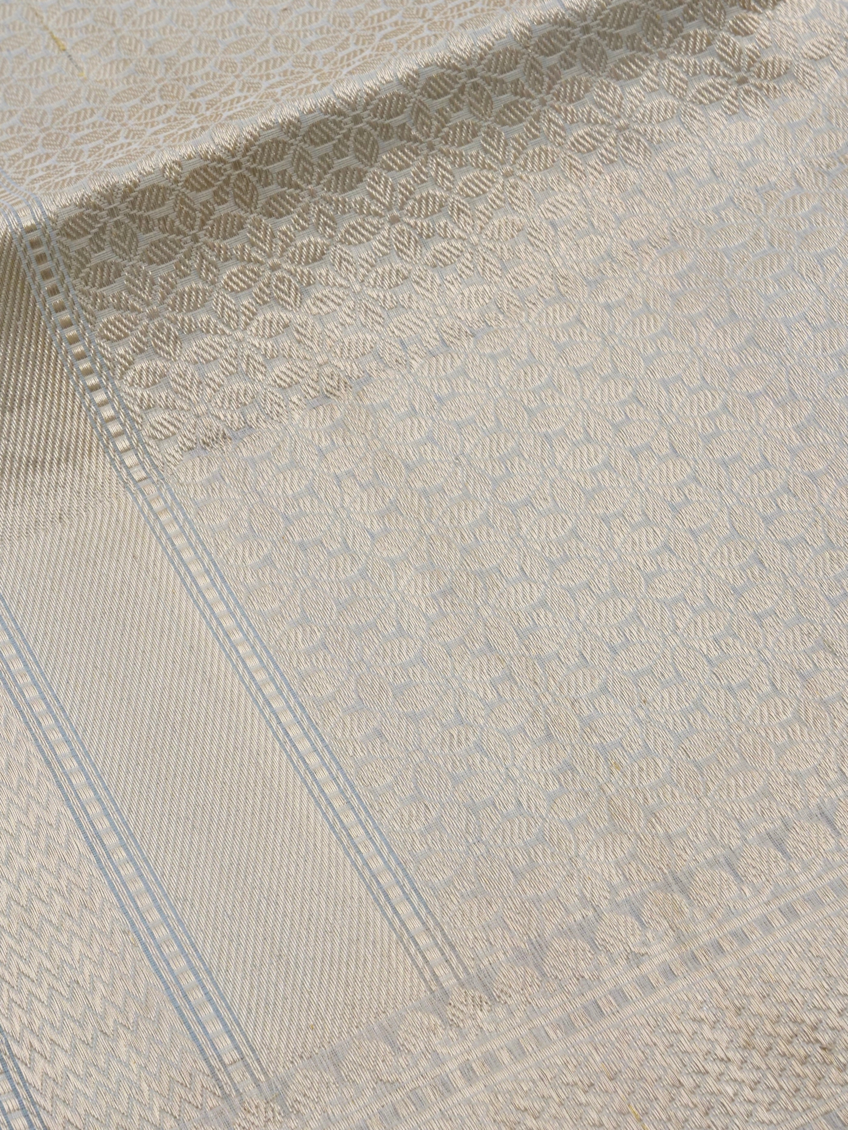 Light Blue Handloom Organza Kadhua Buti Banarasi Silk Saree