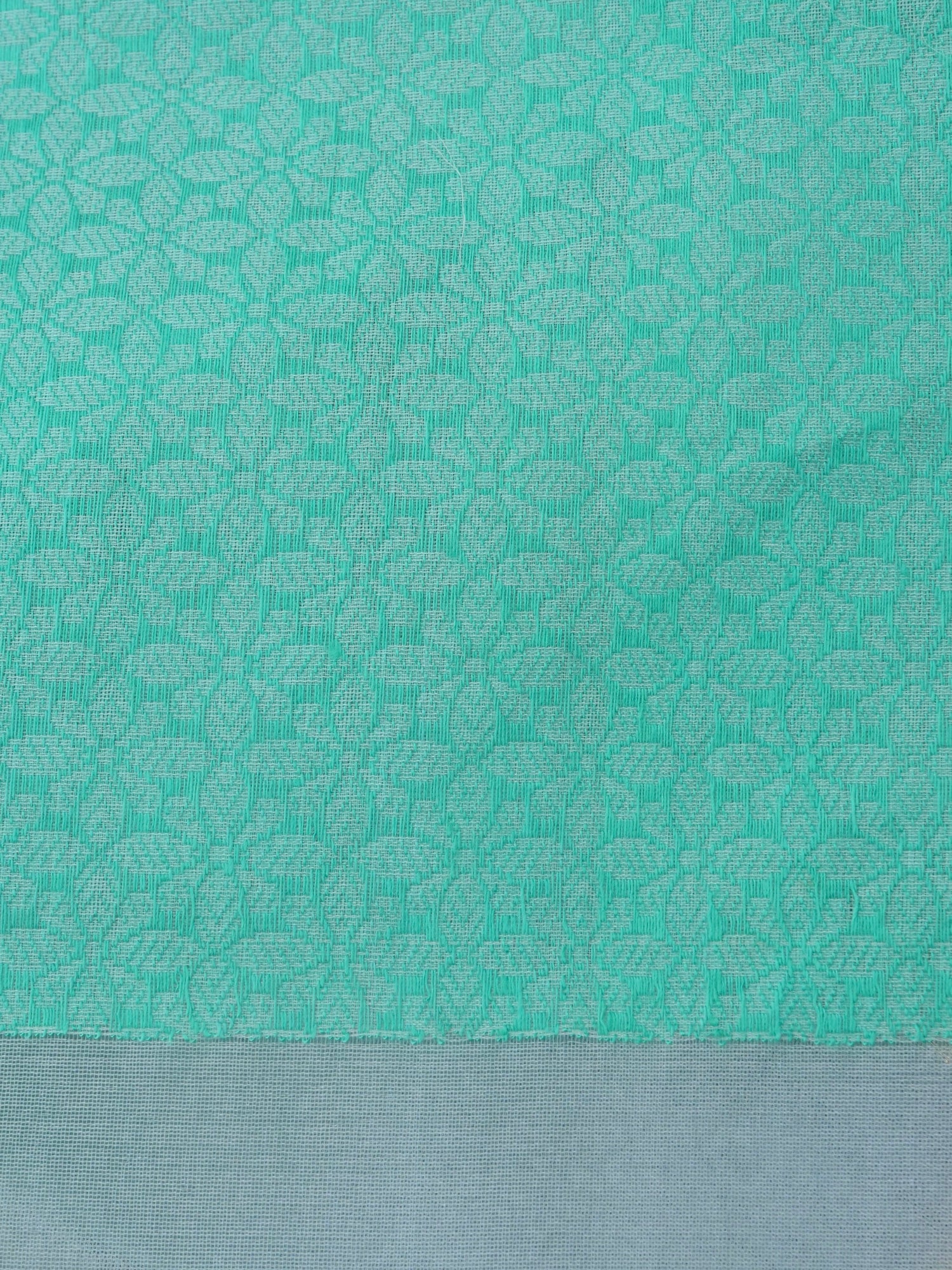 Light Blue Handloom Organza Kadhua Buti Banarasi Silk Saree