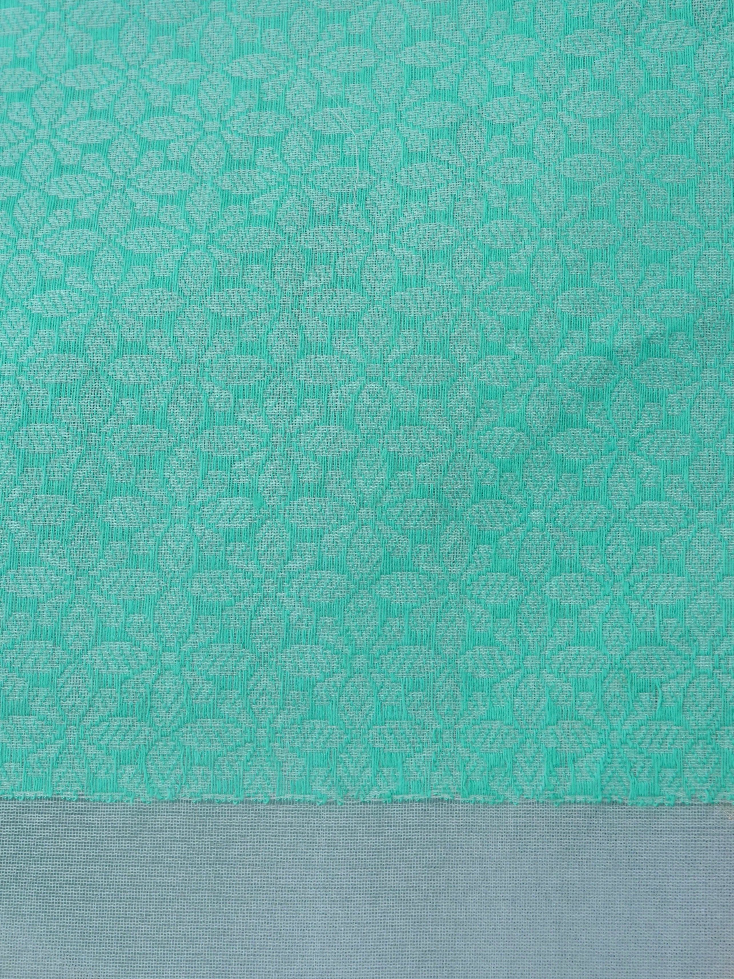 Light Blue Handloom Organza Kadhua Buti Banarasi Silk Saree