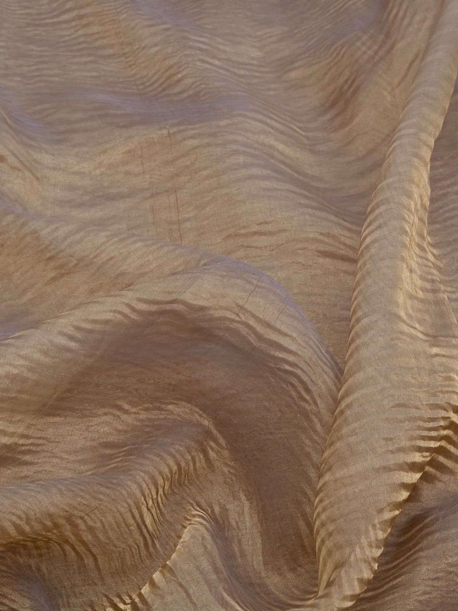 Grey Gold Pure Crush Tissue Silk Banarasi Saree with Embellished Border