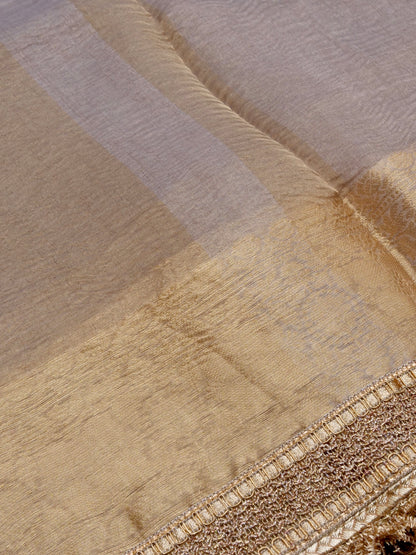 Grey Gold Pure Crush Tissue Silk Banarasi Saree with Embellished Border