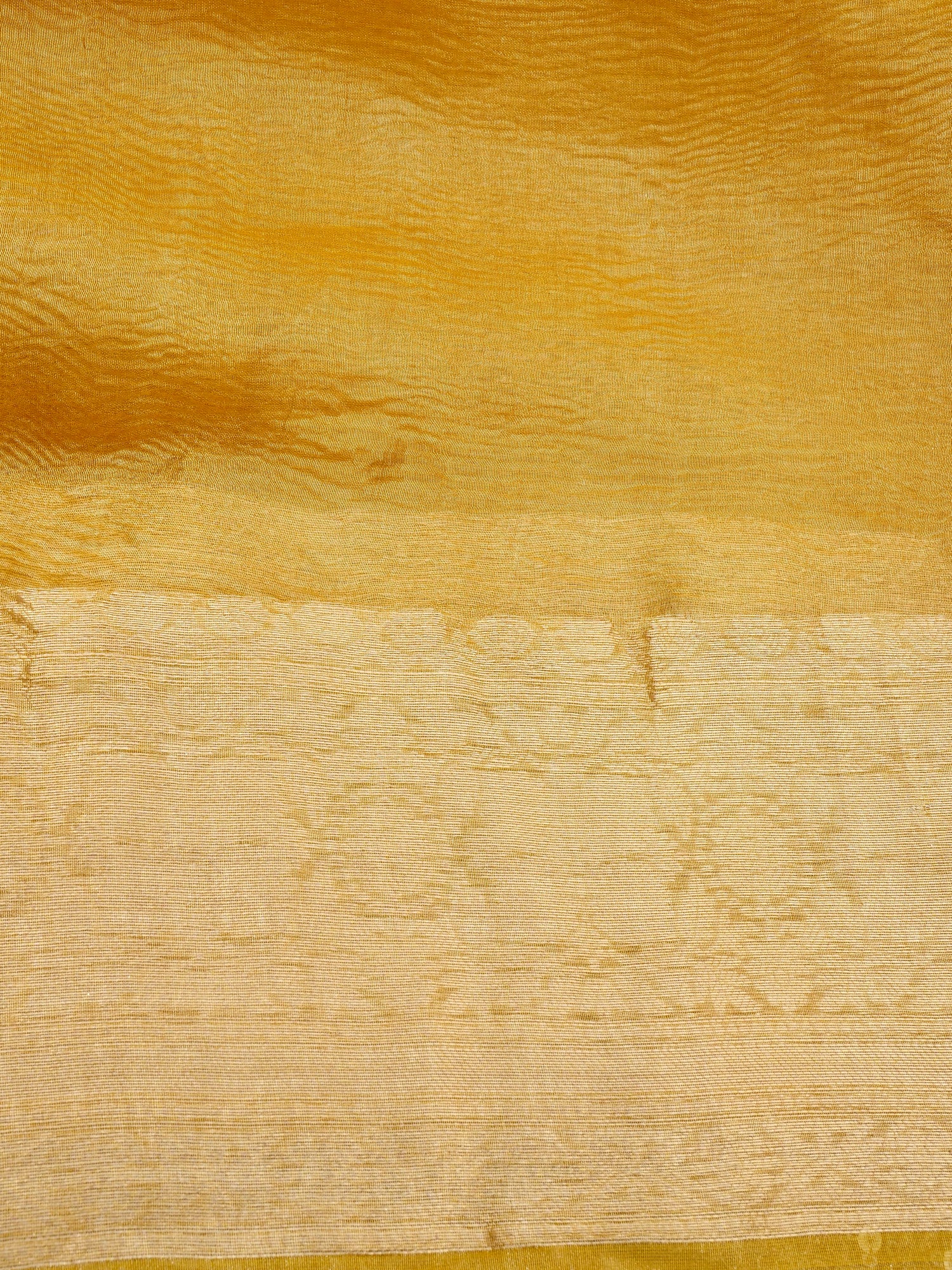 Red Pure Crush Tissue Silk Banarasi Saree with Embellished Border