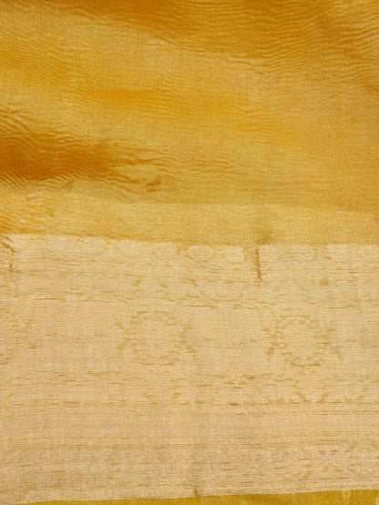 Red Pure Crush Tissue Silk Banarasi Saree with Embellished Border