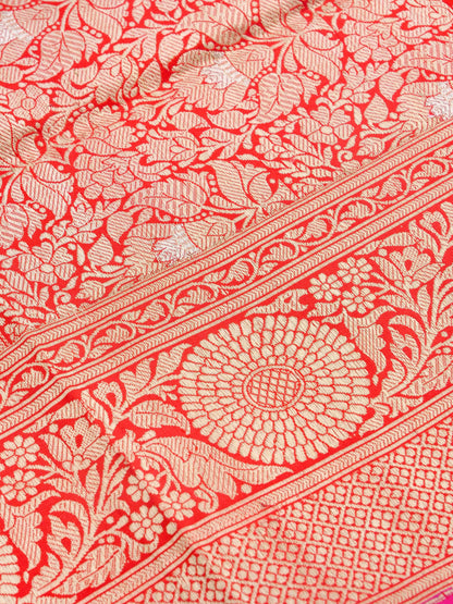 Red Handwoven Pure Kataan Silk Kadhua Jaal Benarasi Saree