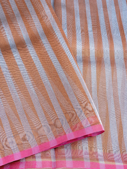 Striped Tissue Banarasi Saree without Border