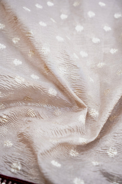 Beige Tissue Silk Saree Buti with Lace Border