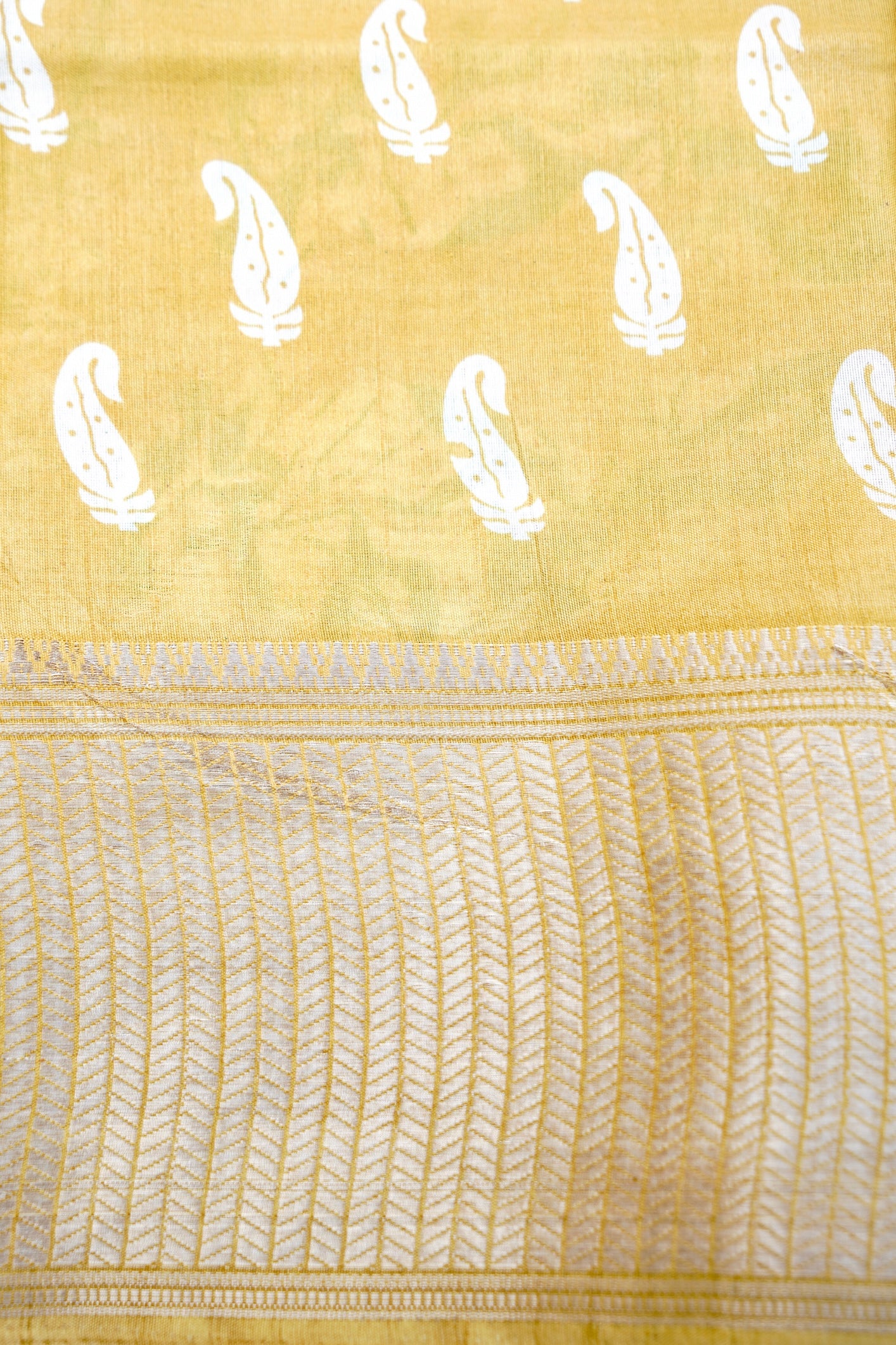 Yellow Chanderi Cotton Floral Digital Print Banarasi Saree