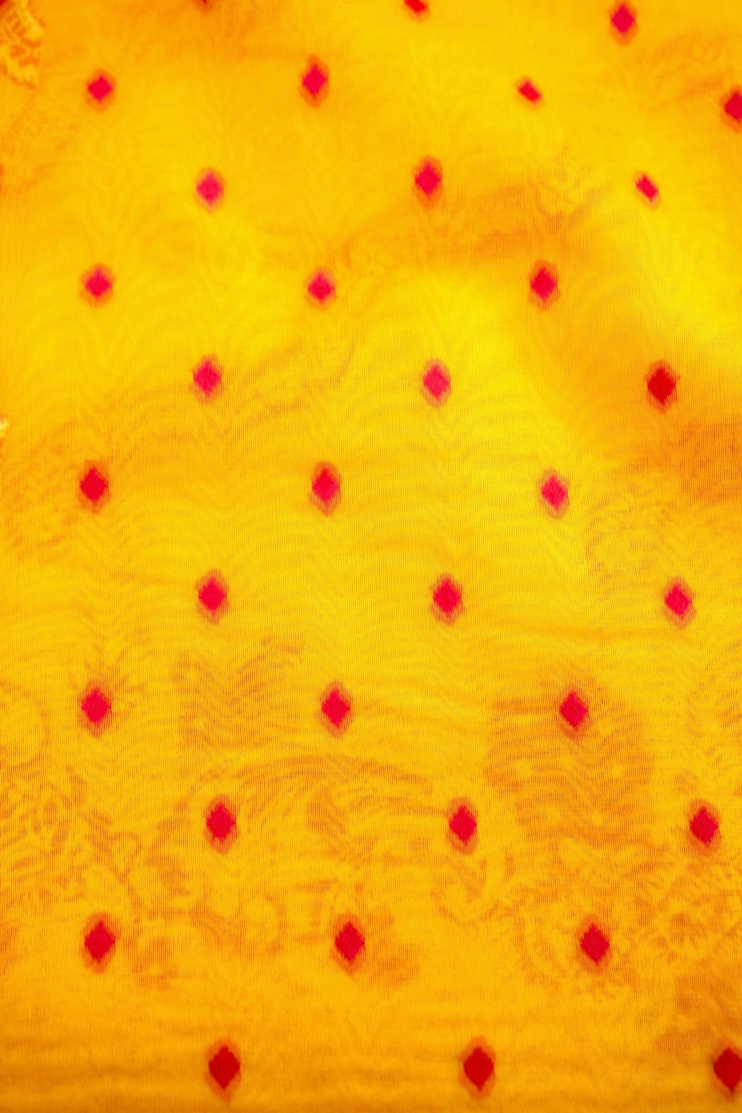 Yellow Adha Jaal Organza Banarasi Saree with Red Meenakari