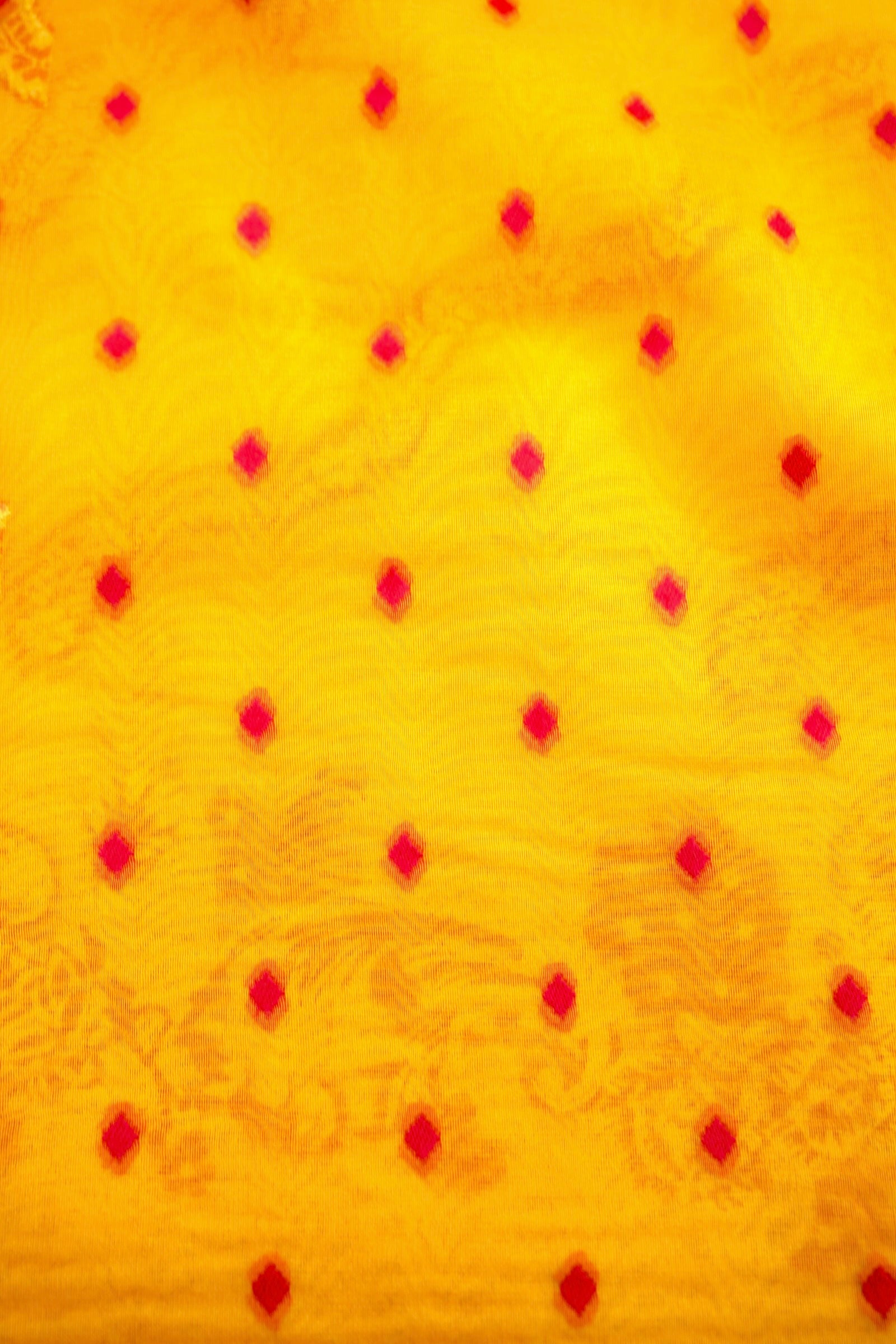 Yellow Adha Jaal Organza Banarasi Saree with Red Meenakari