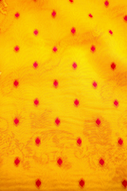 Yellow Adha Jaal Organza Banarasi Saree with Red Meenakari