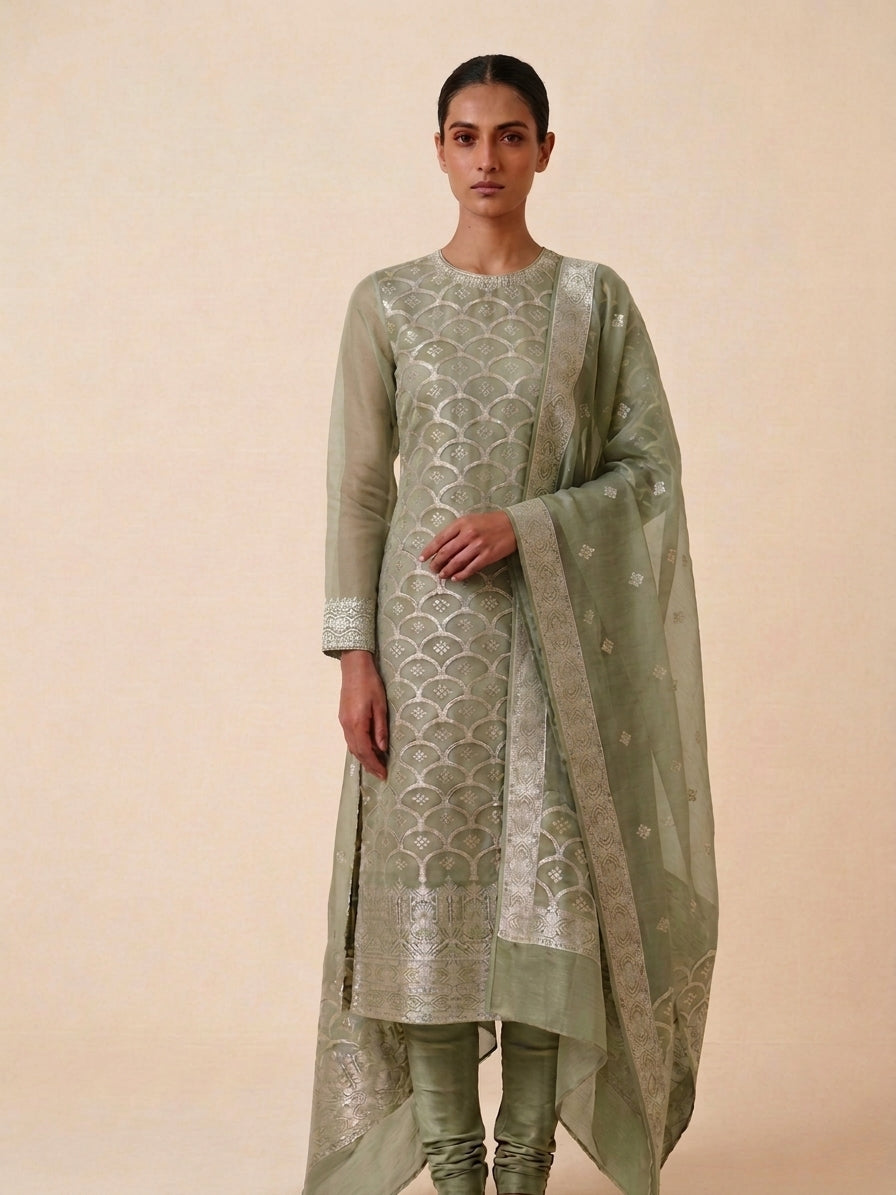 Olive Green Organza Banarasi Suit Set
