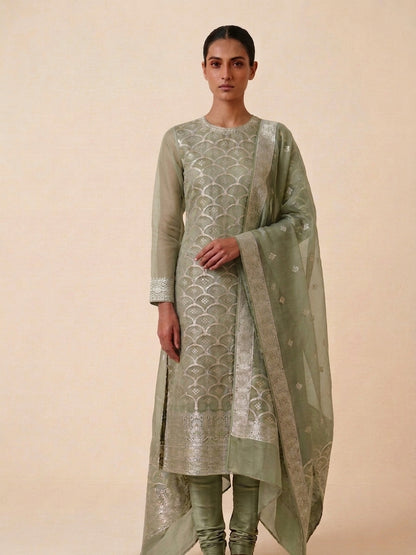 Olive Green Organza Banarasi Suit Set
