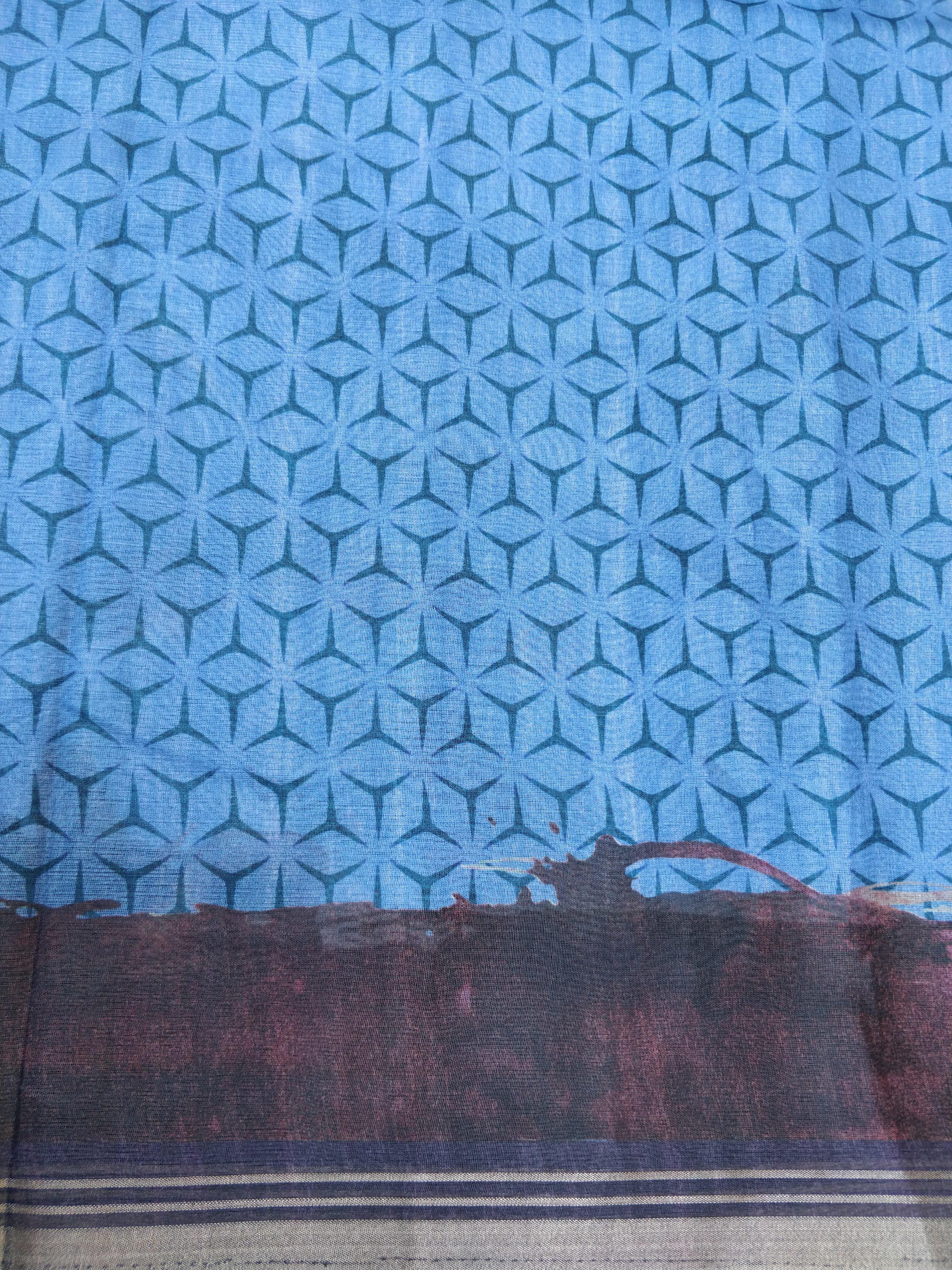 Sky Blue Organza Silk Butterfly Print Banarasi Saree