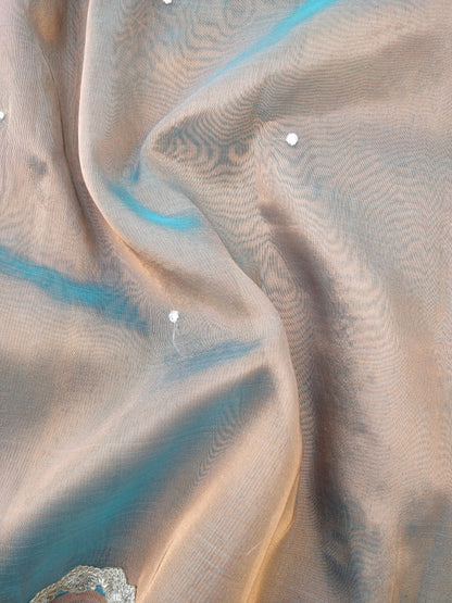 Gold Tissue Silk Saree with Embellished Border