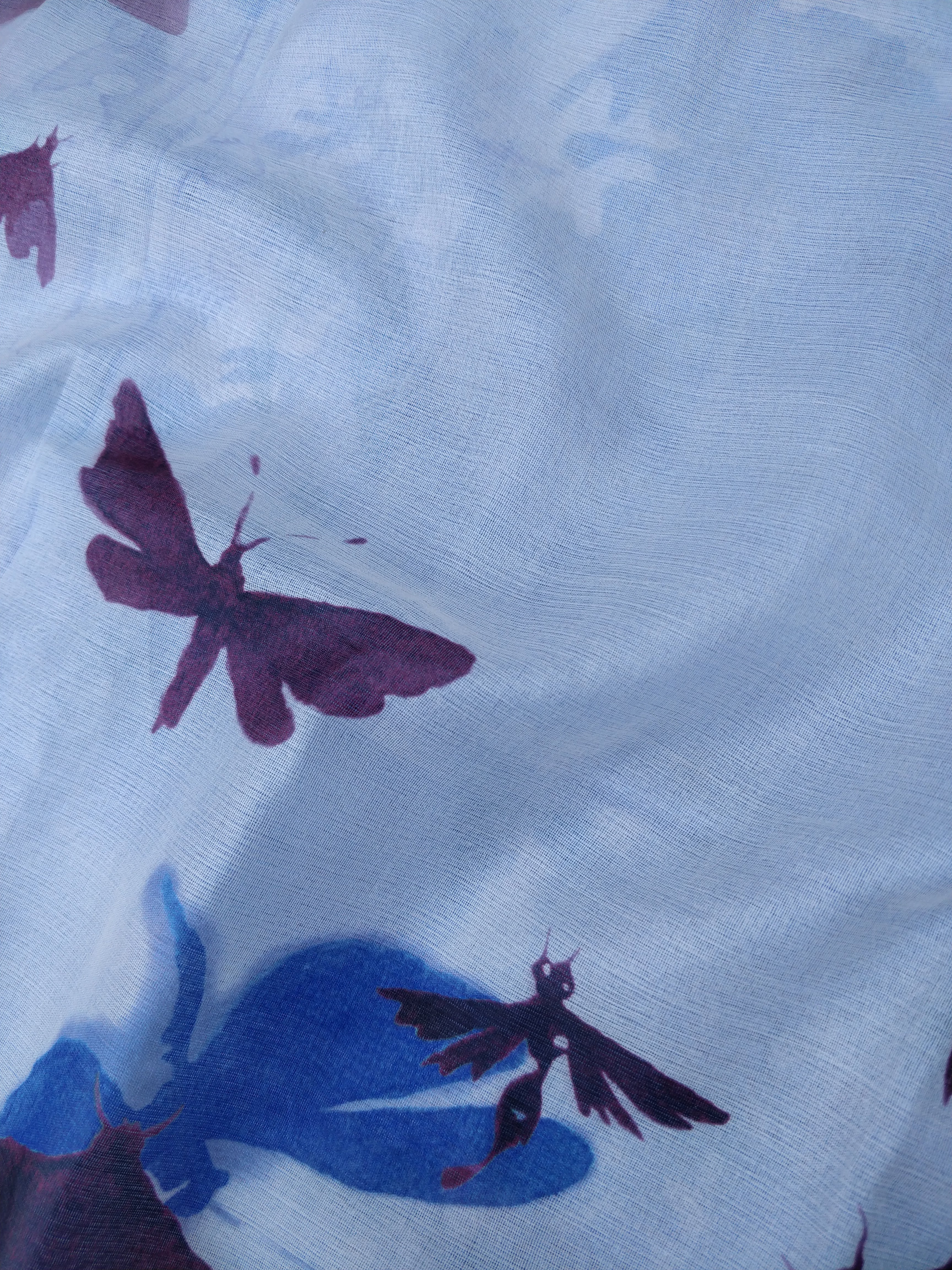 Sky Blue Organza Silk Butterfly Print Banarasi Saree