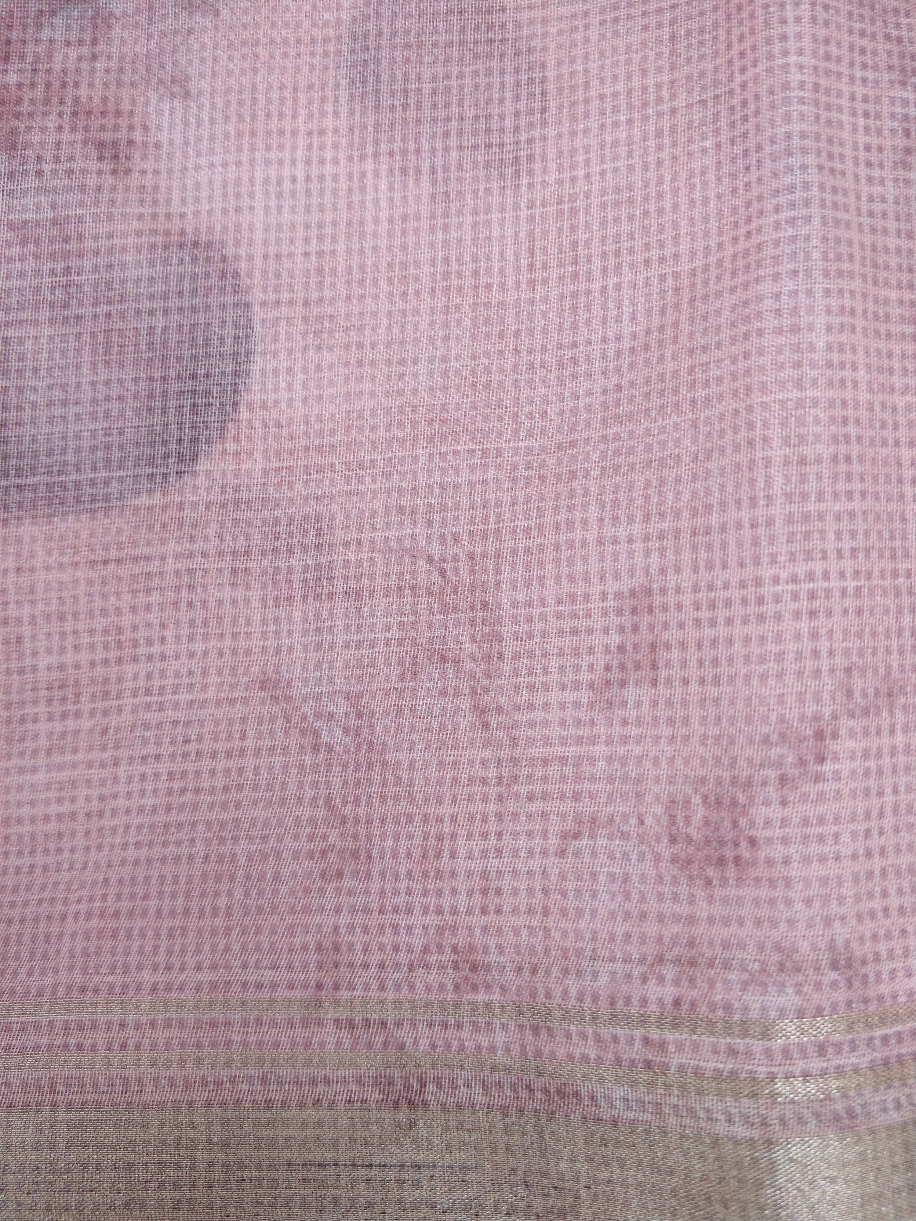 Pink Organza Silk Digital Print Banarasi Saree