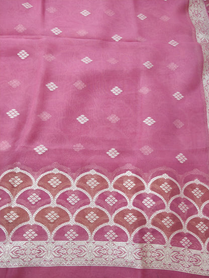Rangkaat Blush Pink Organza Jaal Banarasi Suit Set