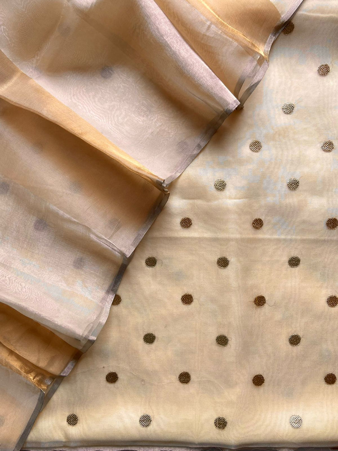 Beige Pure Organza Silk Embroidery Suit
