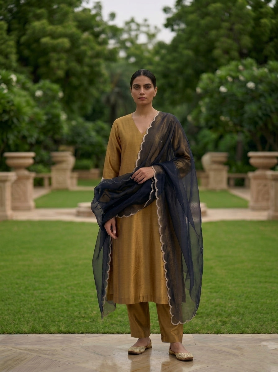 Gold Handwoven Pure Silk Banarasi Suit Set