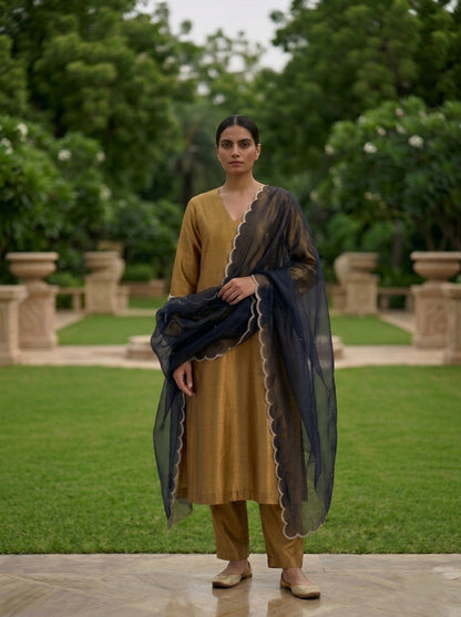Gold Handwoven Pure Silk Banarasi Suit Set