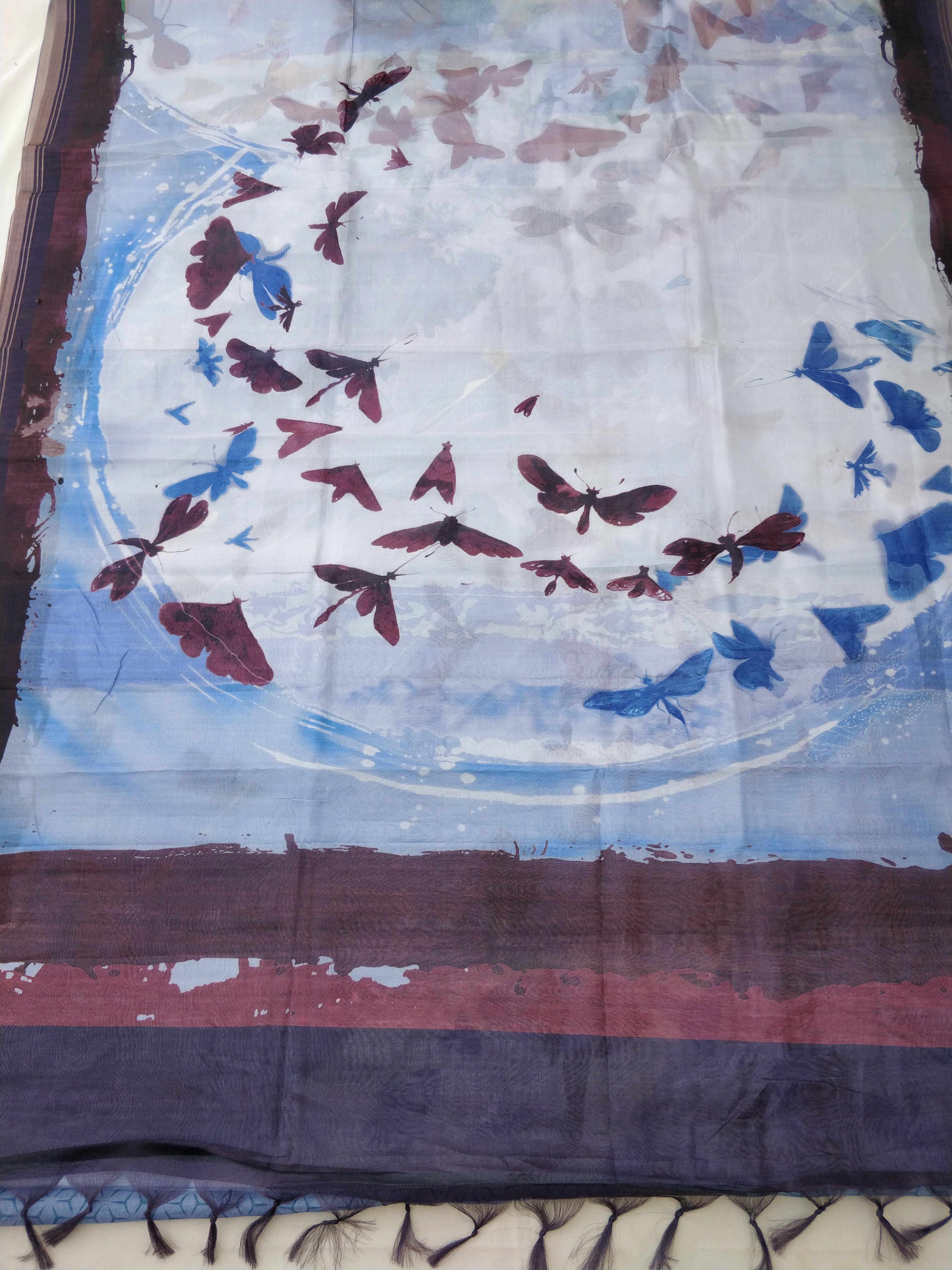 Sky Blue Organza Silk Butterfly Print Banarasi Saree