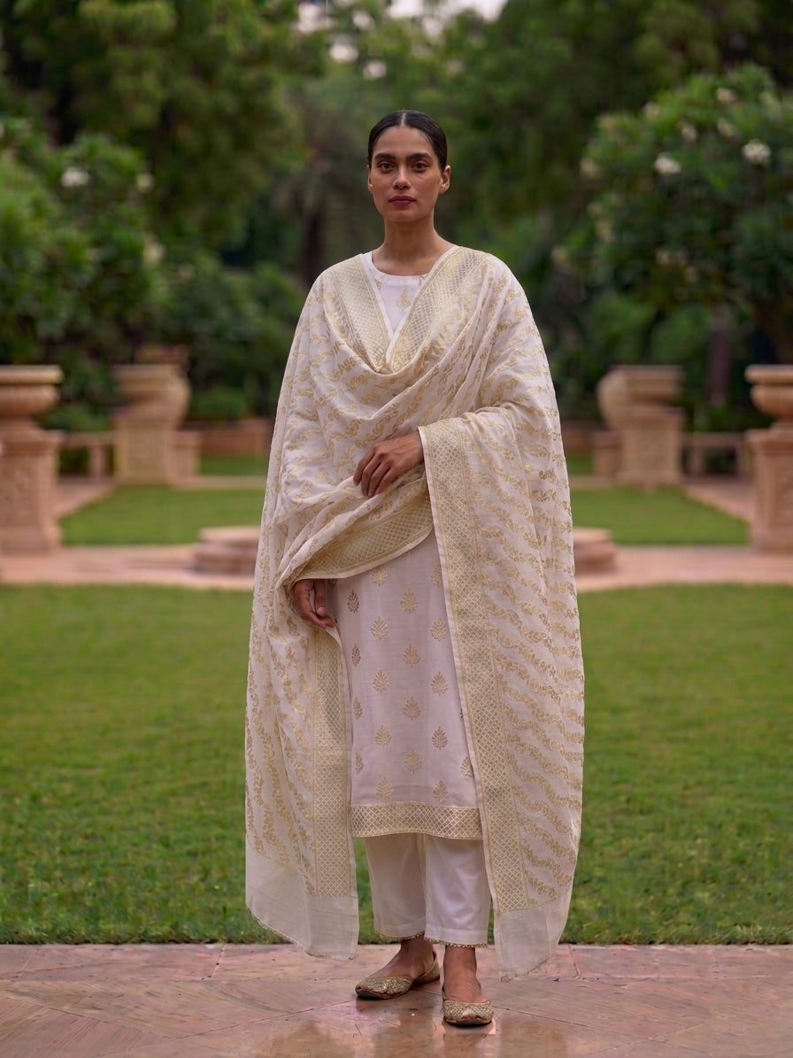 White Handwoven Georgette Banarasi Suit Set