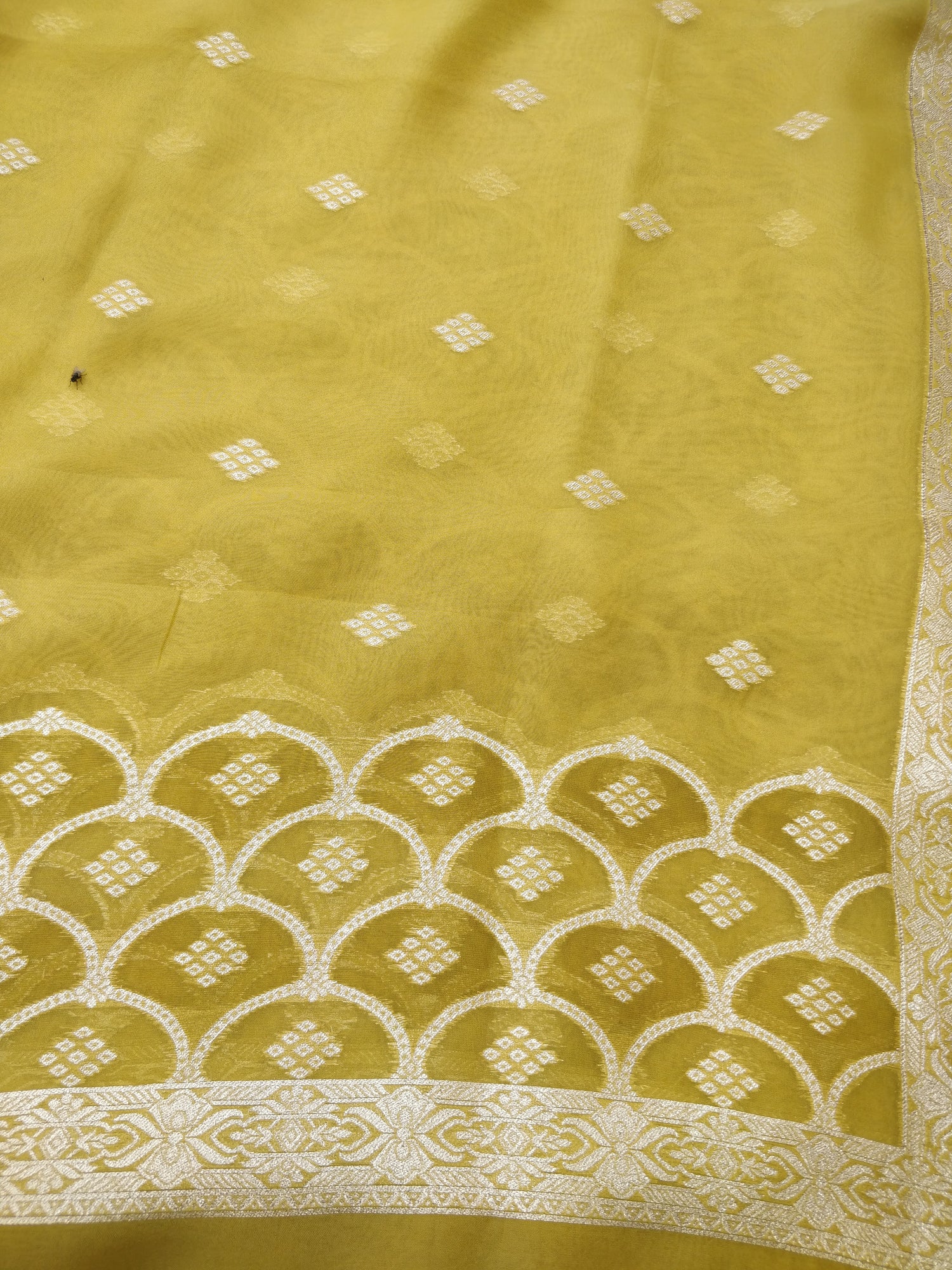 Mehendi Green Organza Banarasi Suit Set