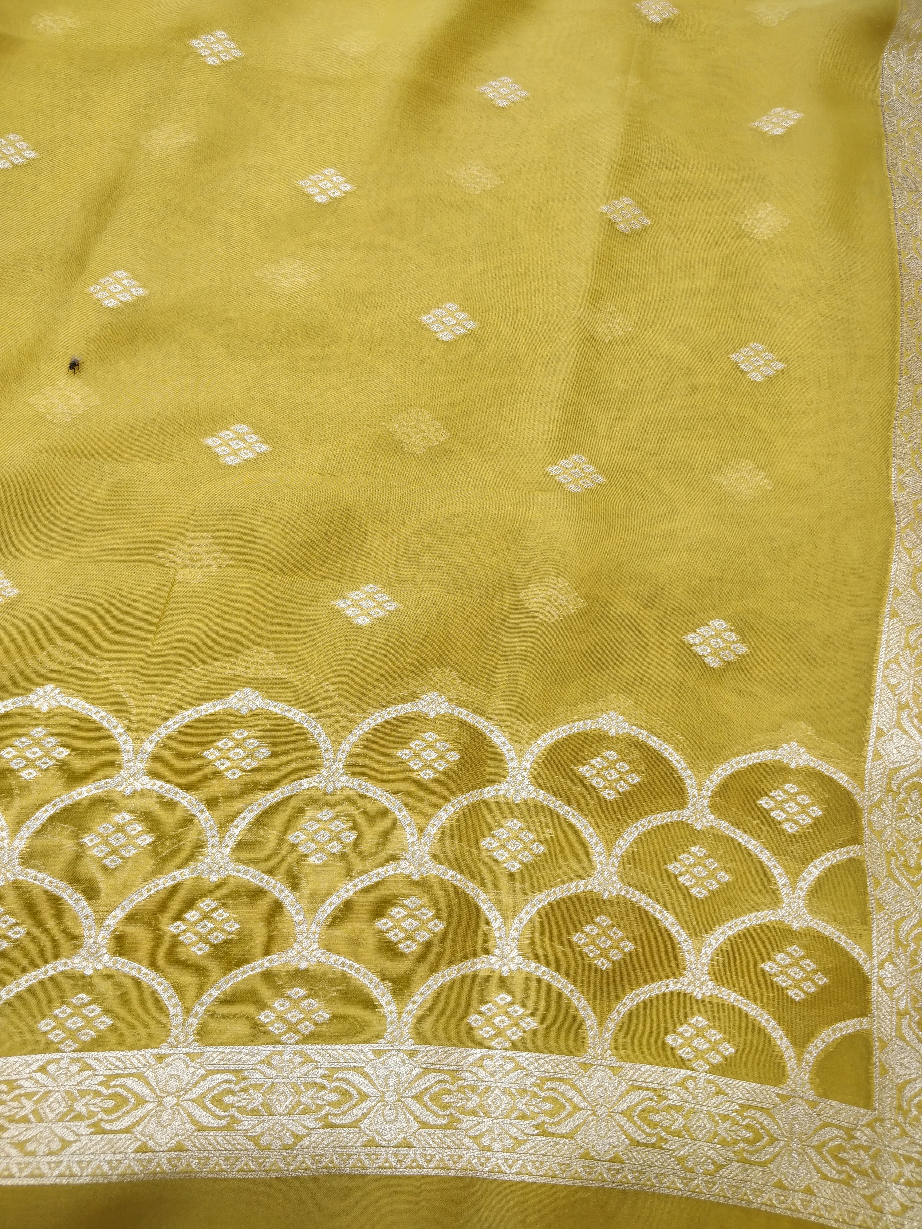 Mehendi Green Organza Banarasi Suit Set