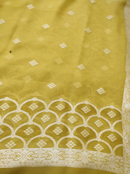 Mehendi Green Organza Banarasi Suit Set